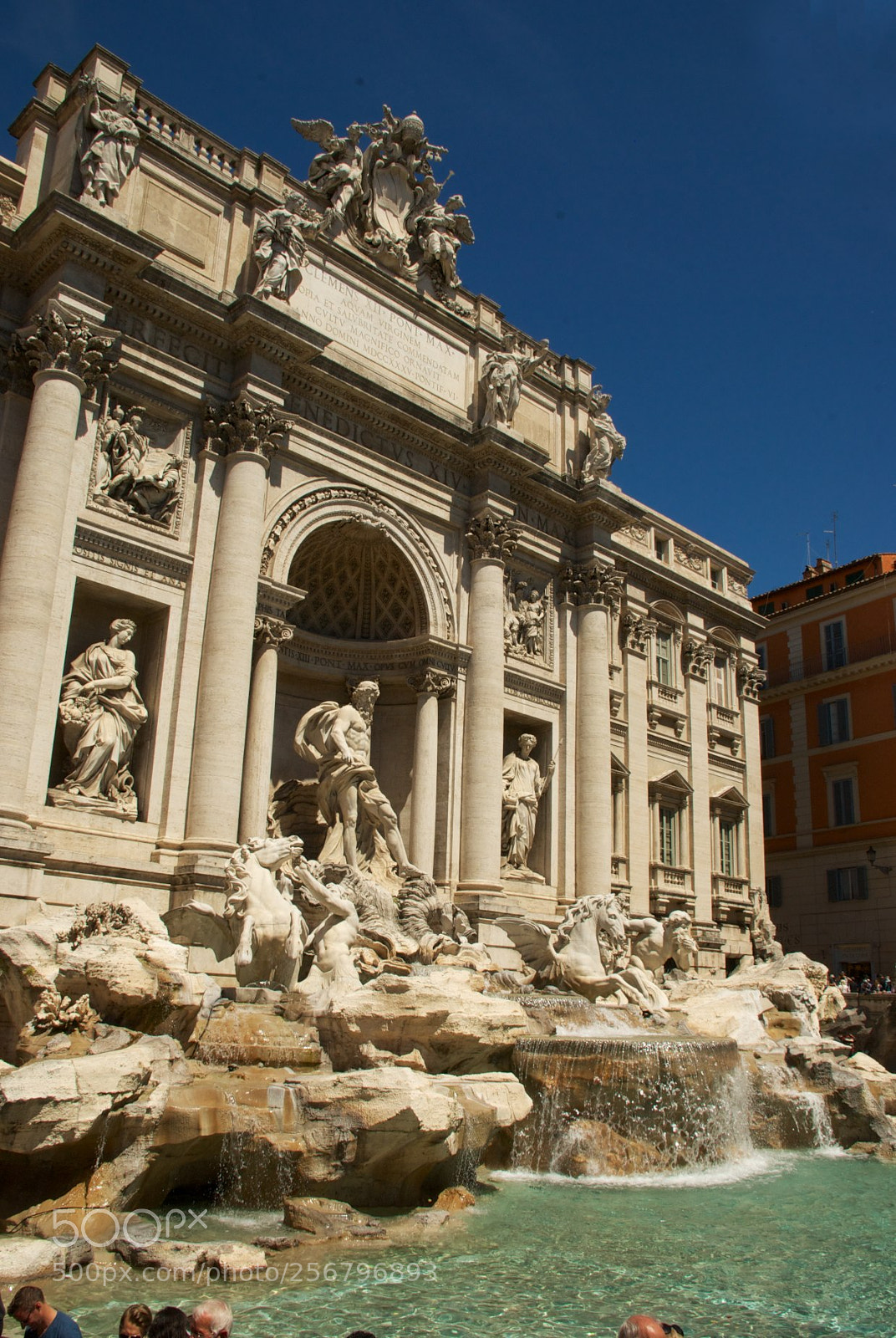 Nikon D60 sample photo. Fontana di trevi photography