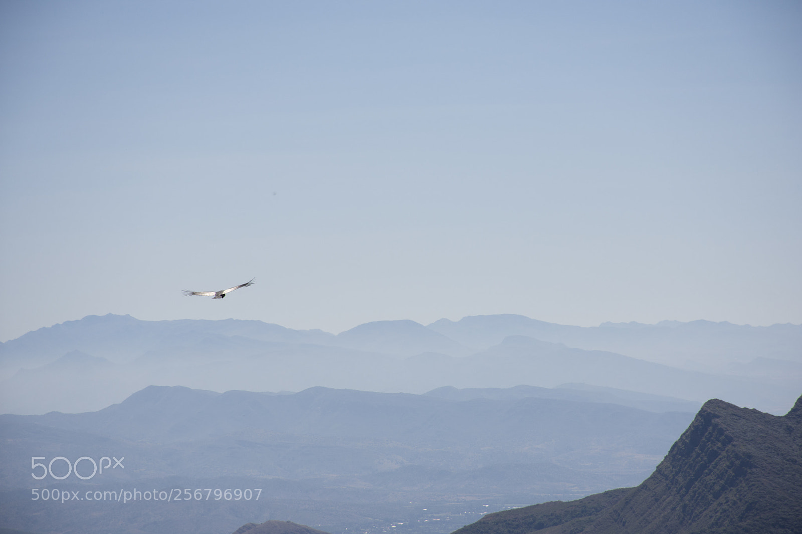 Nikon D7200 sample photo. {21} valle de los condores photography