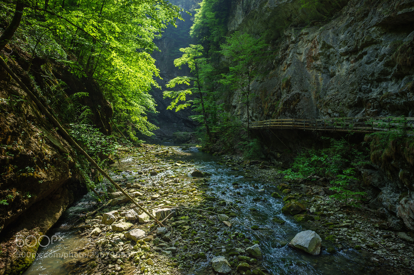 Sony a7 II sample photo. Rappenlochschlucht photography