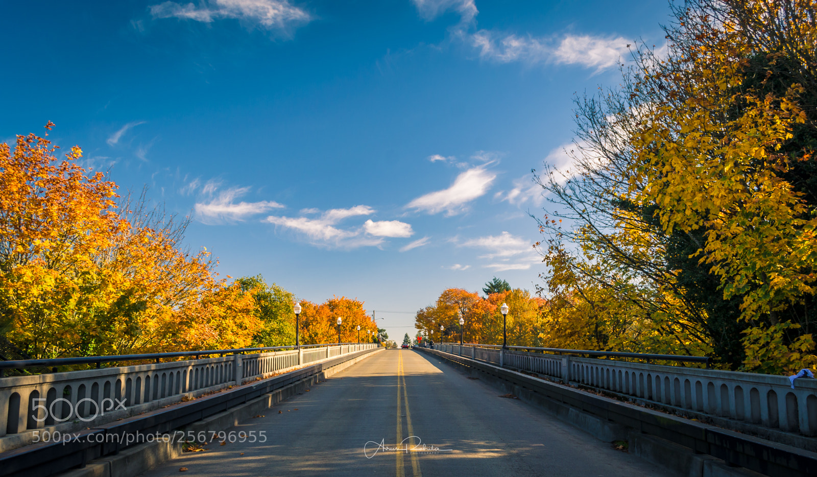 Nikon D5100 sample photo. Bridge to fall photography