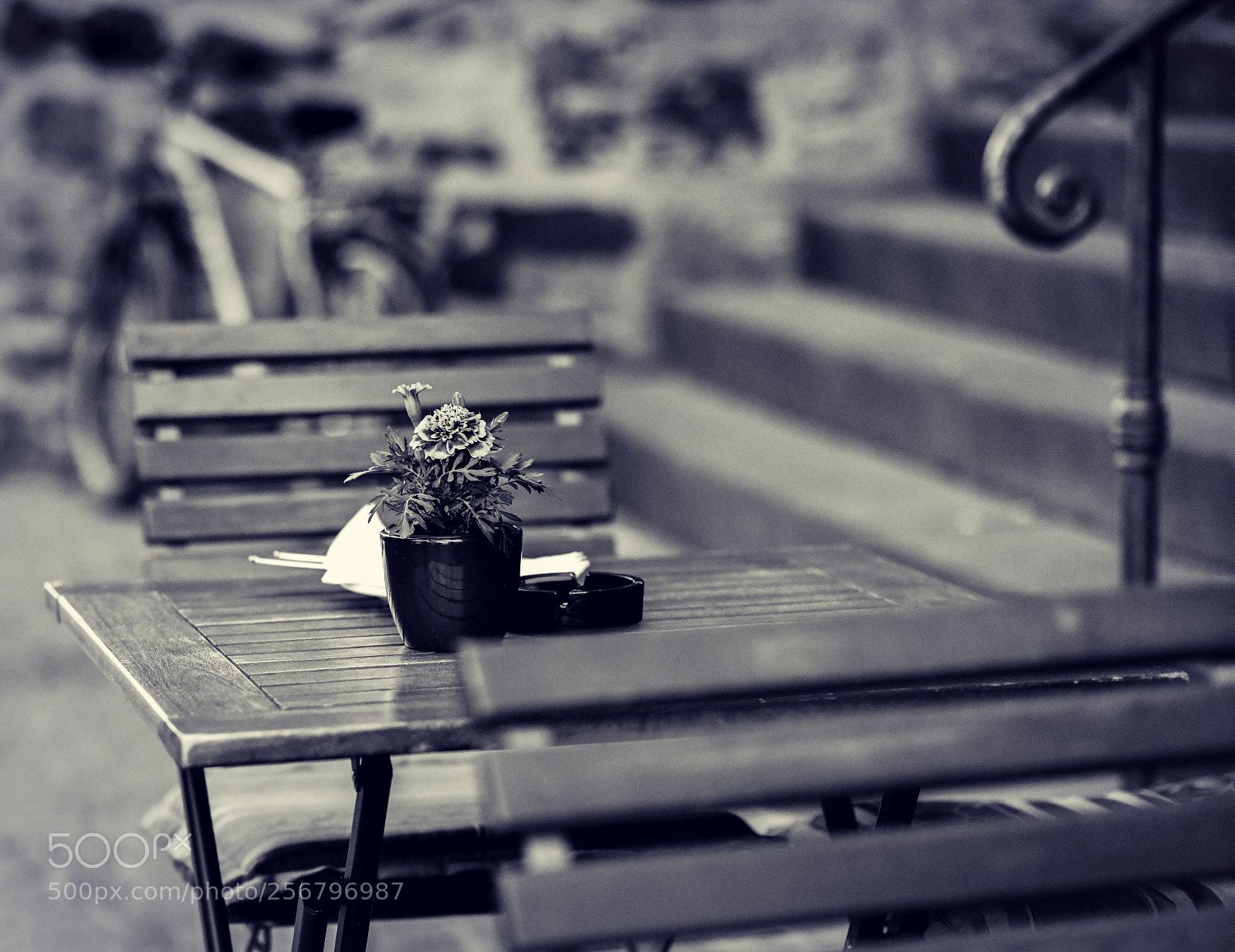 Nikon D850 sample photo. Untitled photography