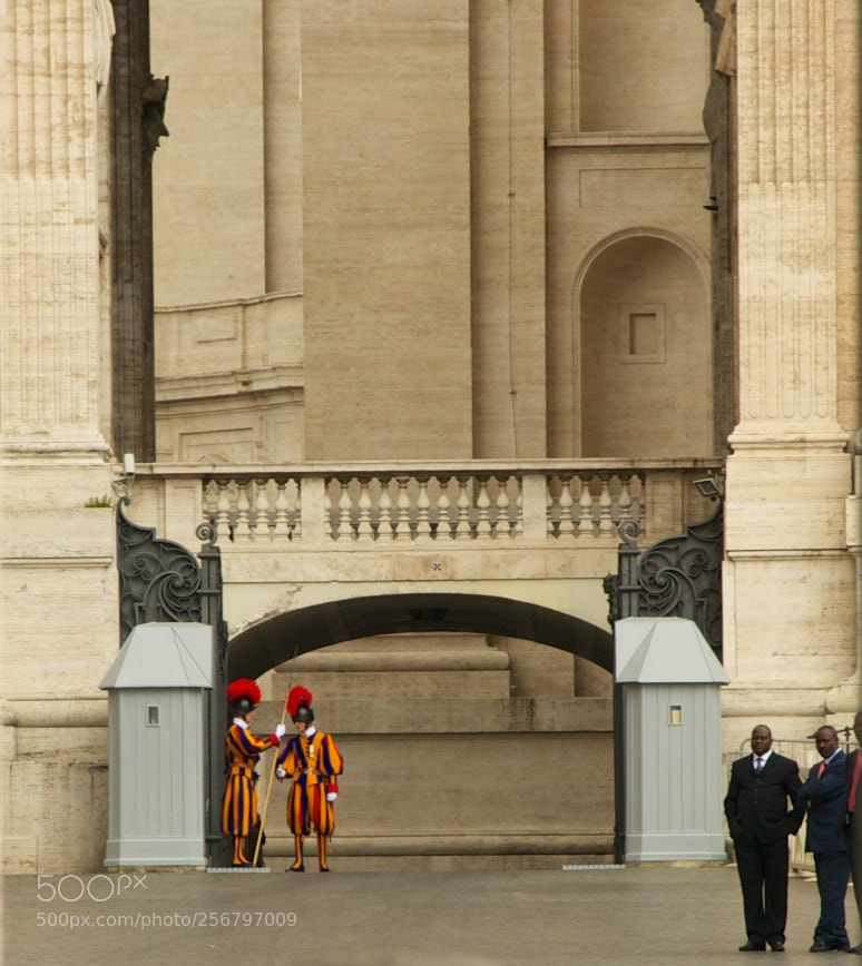 Nikon D60 sample photo. Guardie vaticane photography