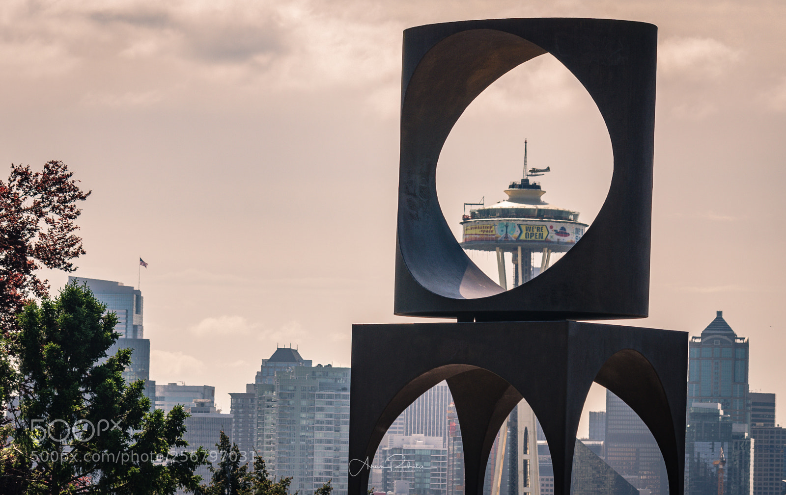 Nikon D5100 sample photo. Space needle plane photography