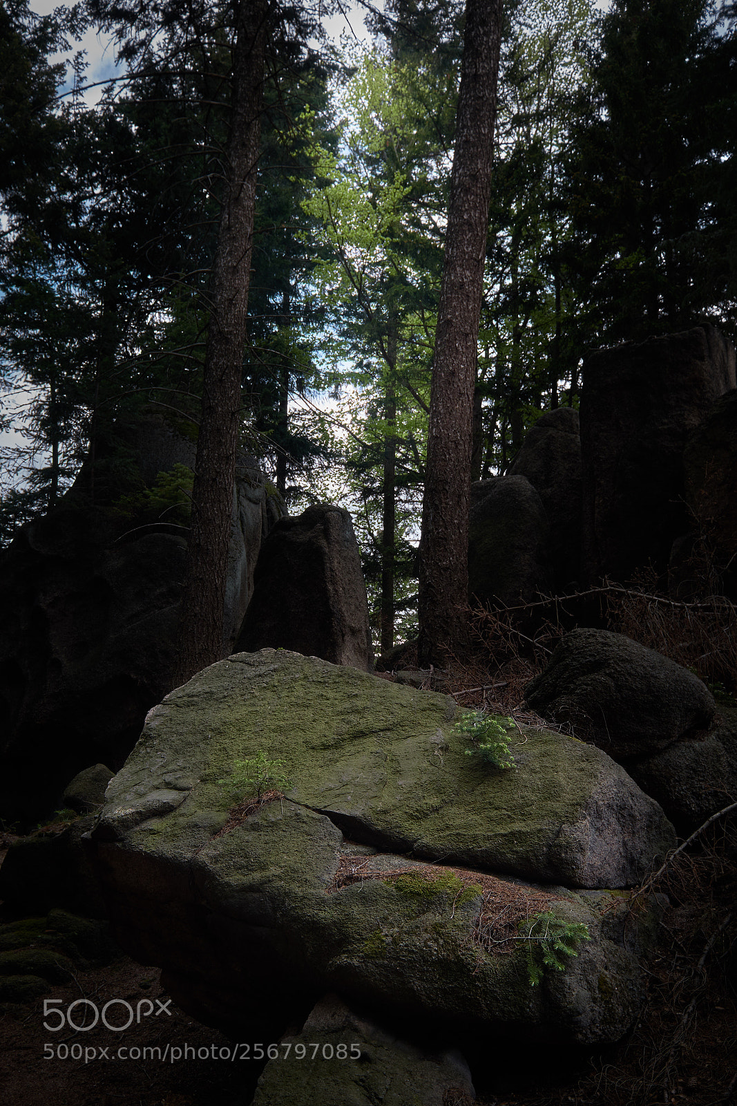 Fujifilm X-T2 sample photo. Karpacz, poland photography