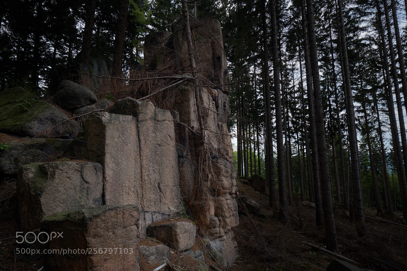 Fujifilm X-T2 sample photo. Karpacz, poland photography
