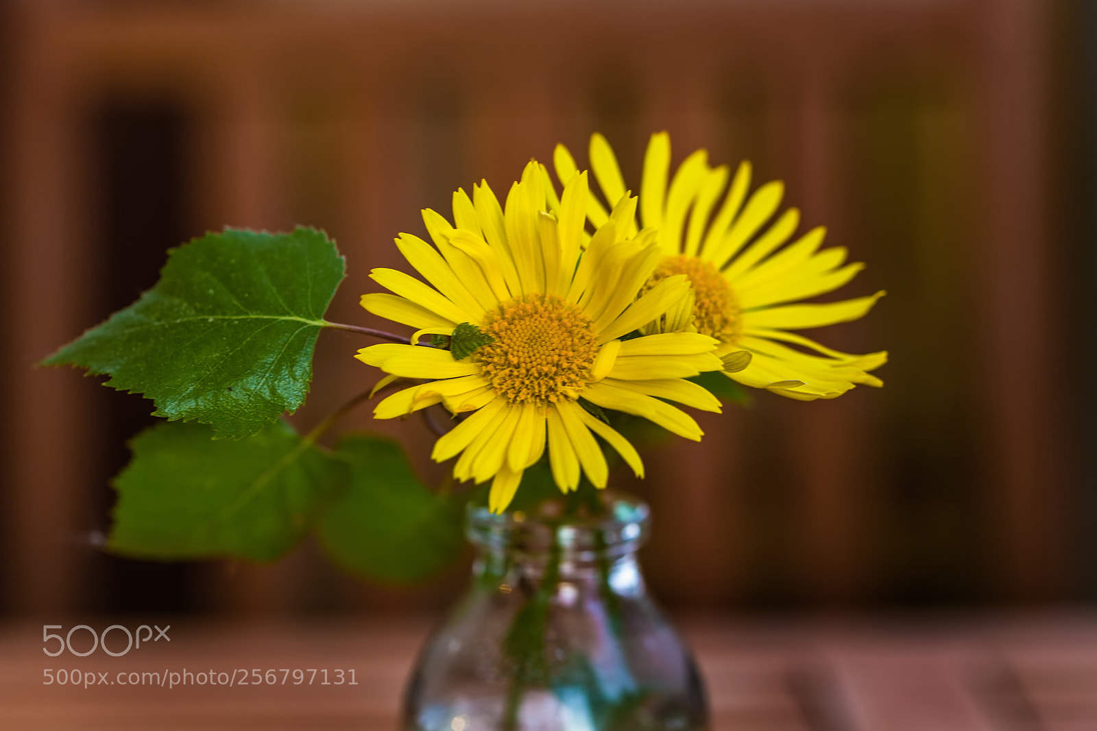 Canon EOS 6D sample photo. Flowers on balcony photography