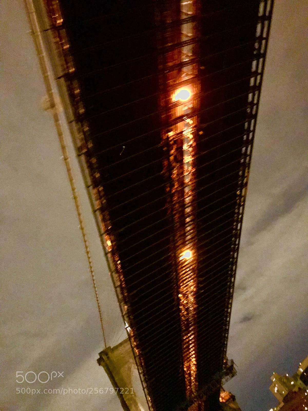 Apple iPhone 7 Plus sample photo. Untitled photography