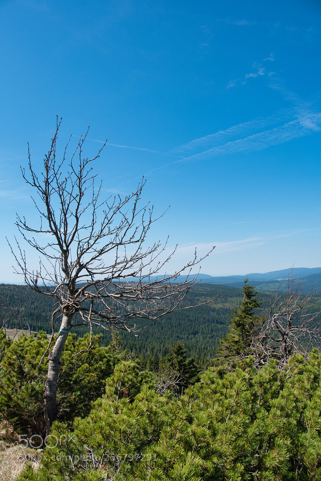 Fujifilm X-Pro1 sample photo. Karpacz, poland photography