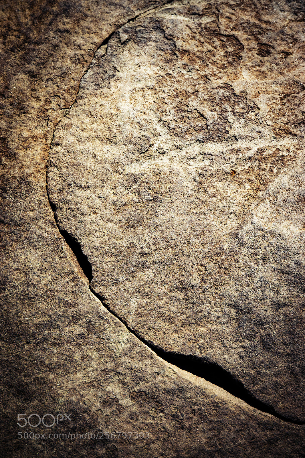 Nikon D5500 sample photo. Crack on dark stone photography