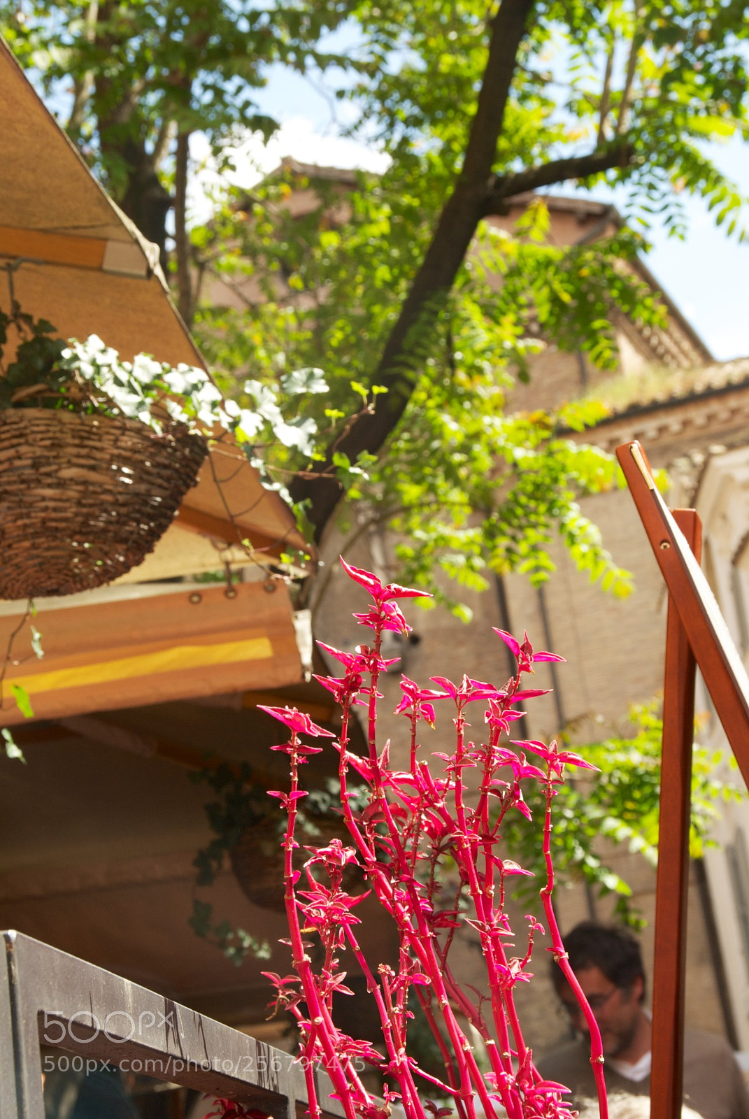 Nikon D60 sample photo. Trastevere () photography