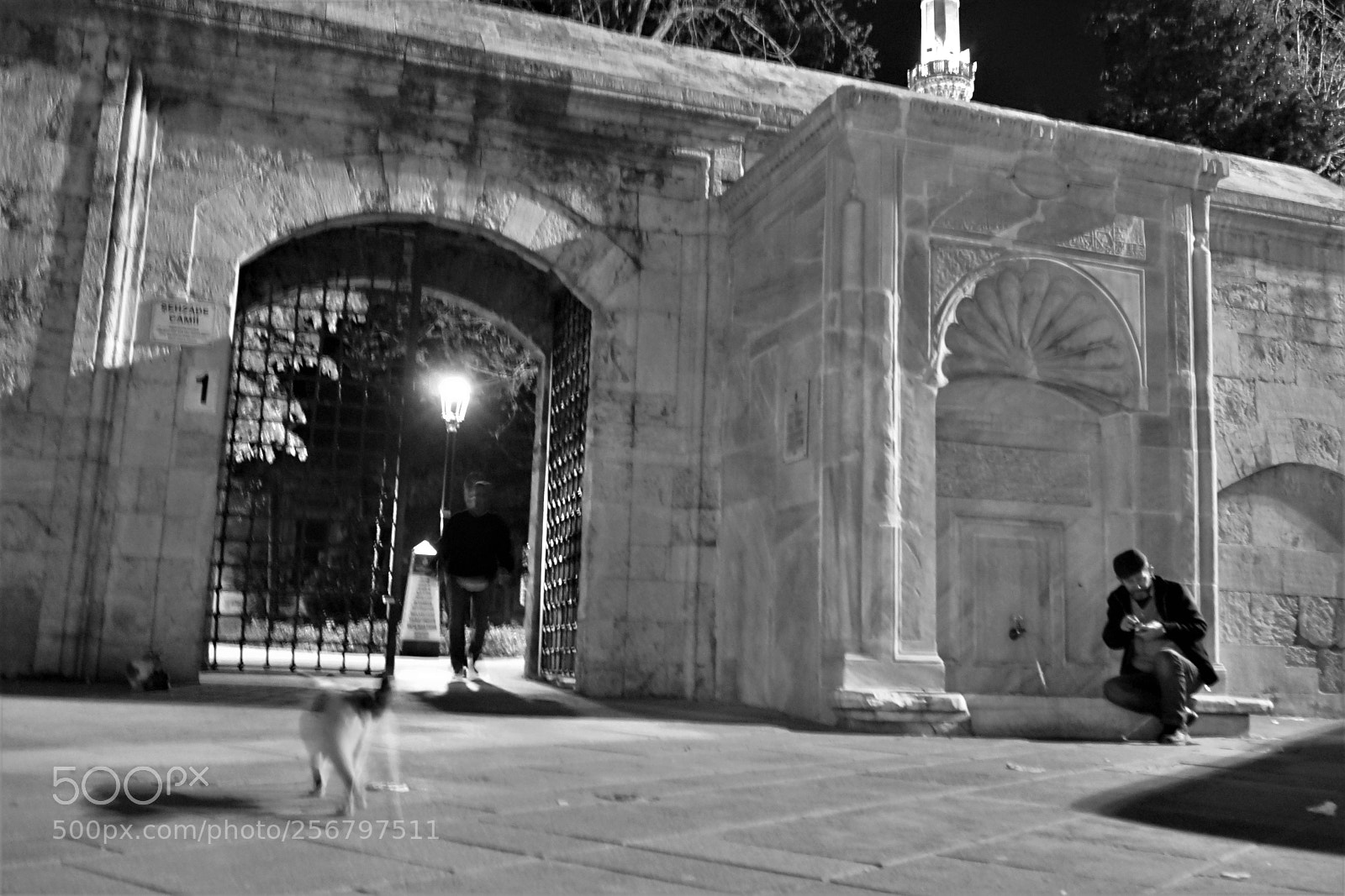 Sony a7 sample photo. Tarih photography
