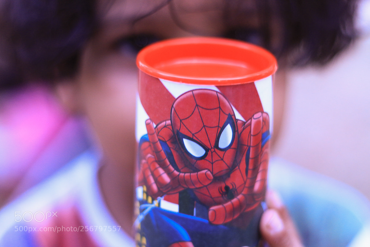 Canon EOS 700D (EOS Rebel T5i / EOS Kiss X7i) sample photo. Spider davi photography