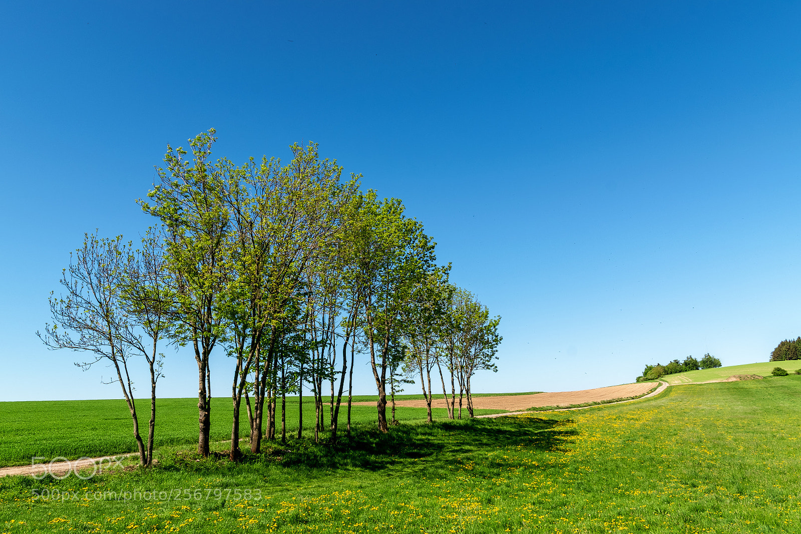 Nikon D5600 sample photo. Vysočinou ... 59. photography