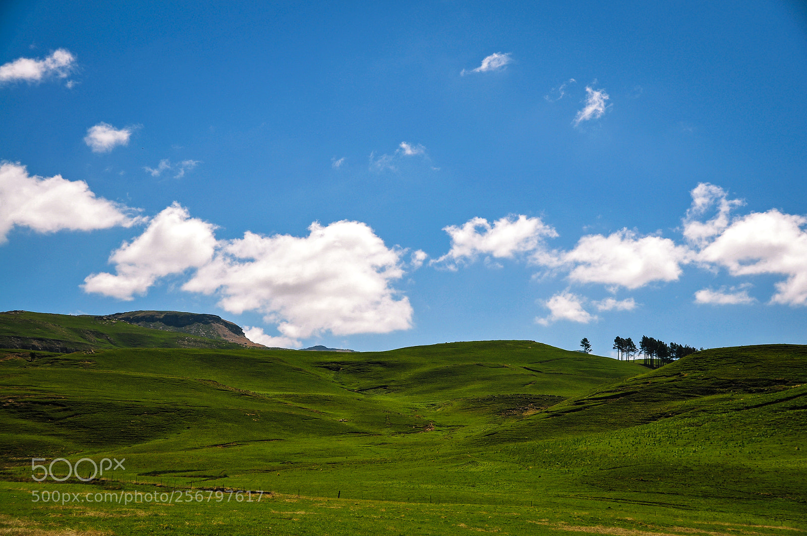 Nikon D90 sample photo. Drakensberg, south africa photography