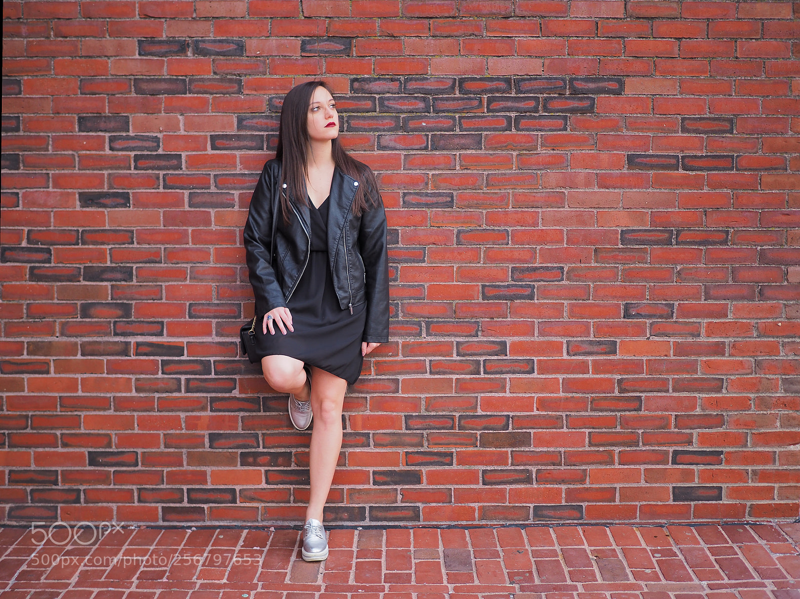 Olympus OM-D E-M10 II sample photo. Another red brick in photography