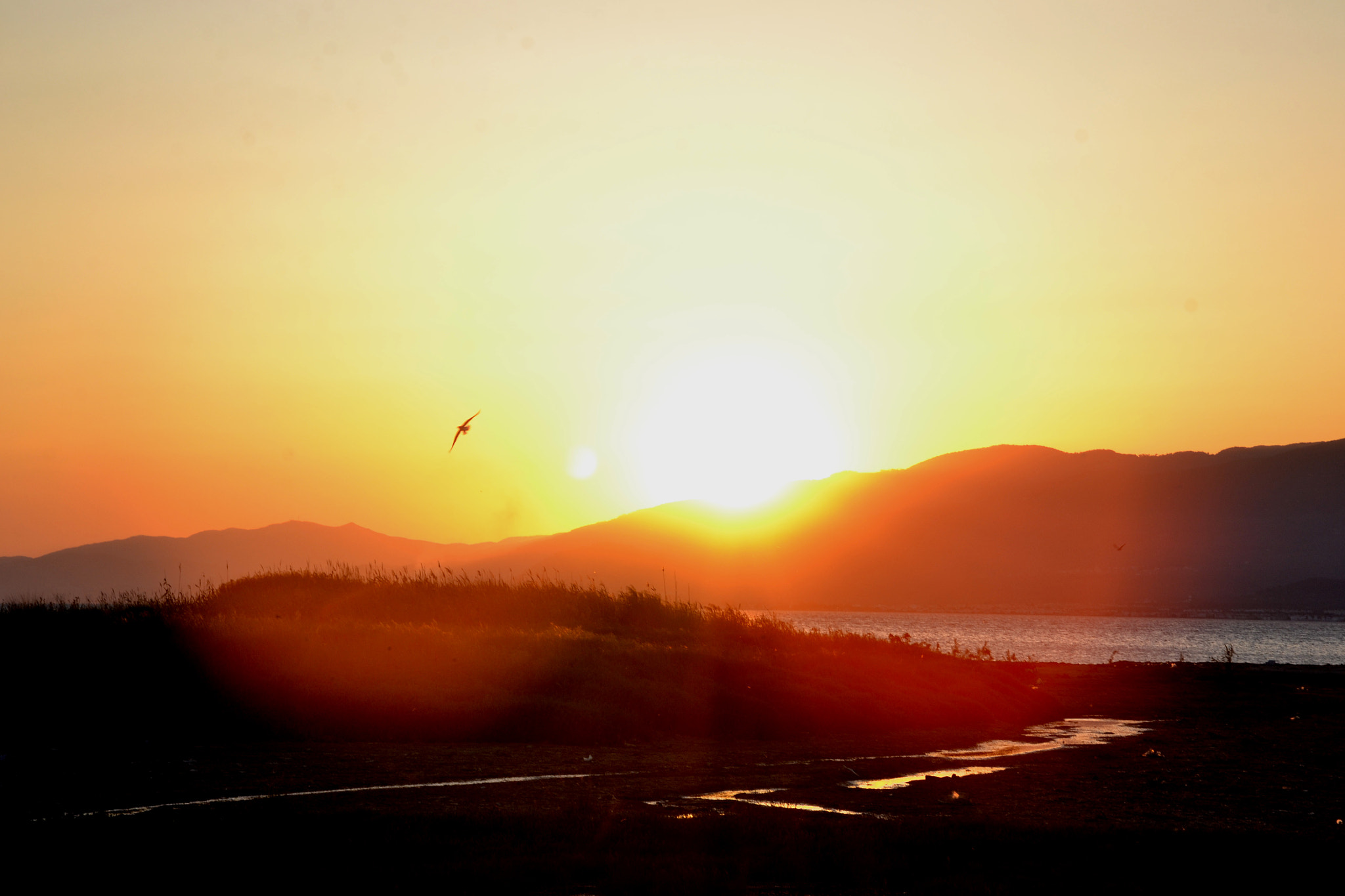 Nikon D3100 sample photo. Sunset photography