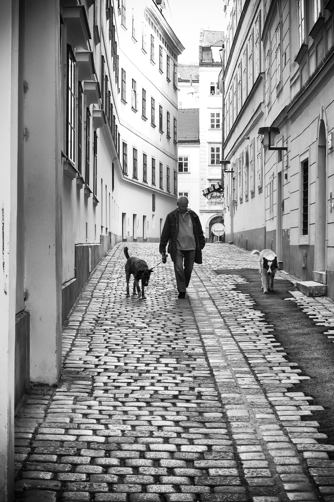 Canon PowerShot G9 X Mark II sample photo. Morning walk photography