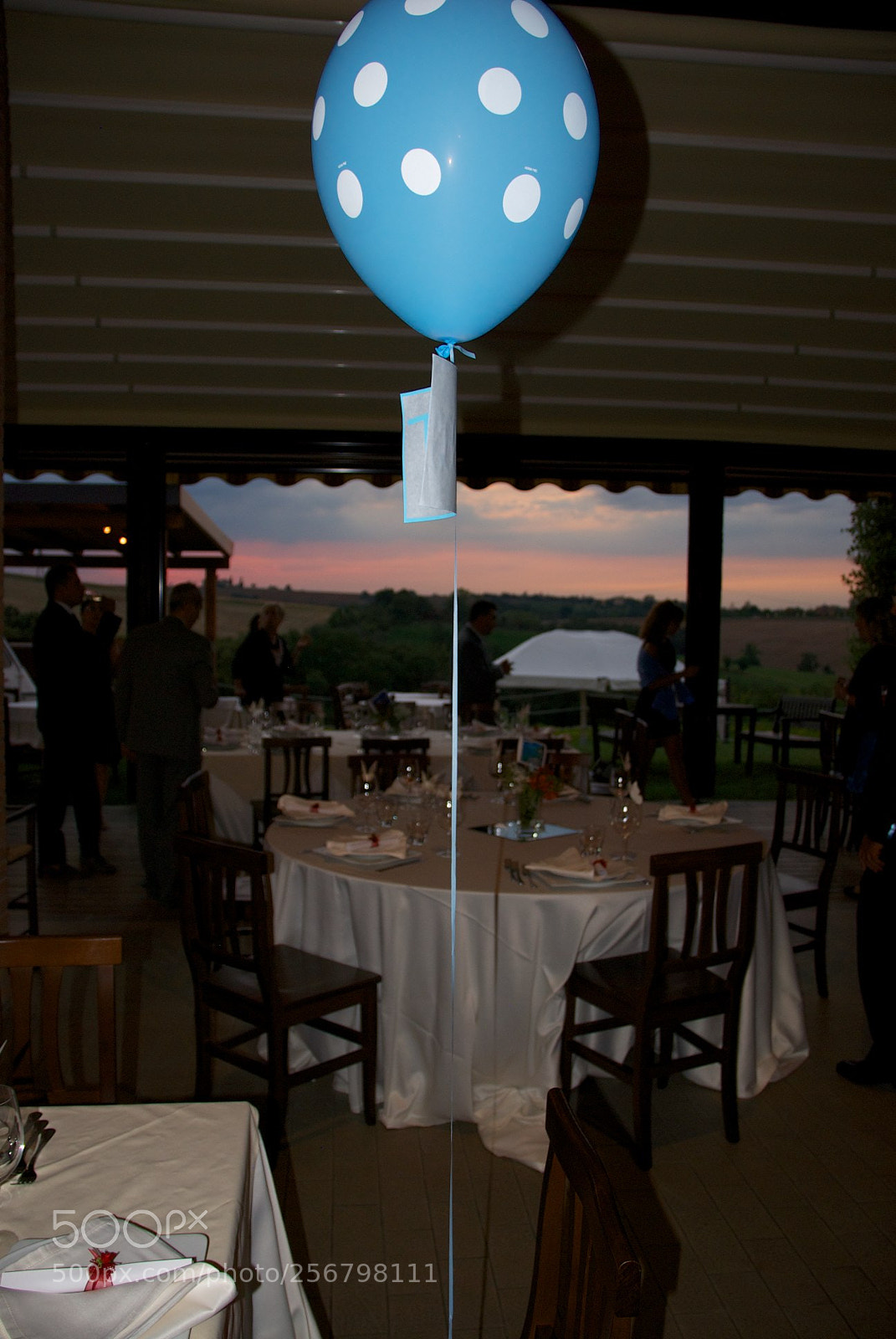 Nikon D60 sample photo. Version photography