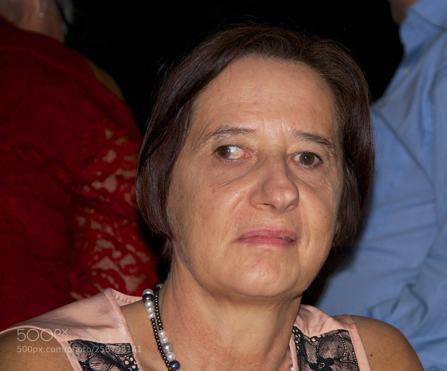 Nikon D60 sample photo. Version photography