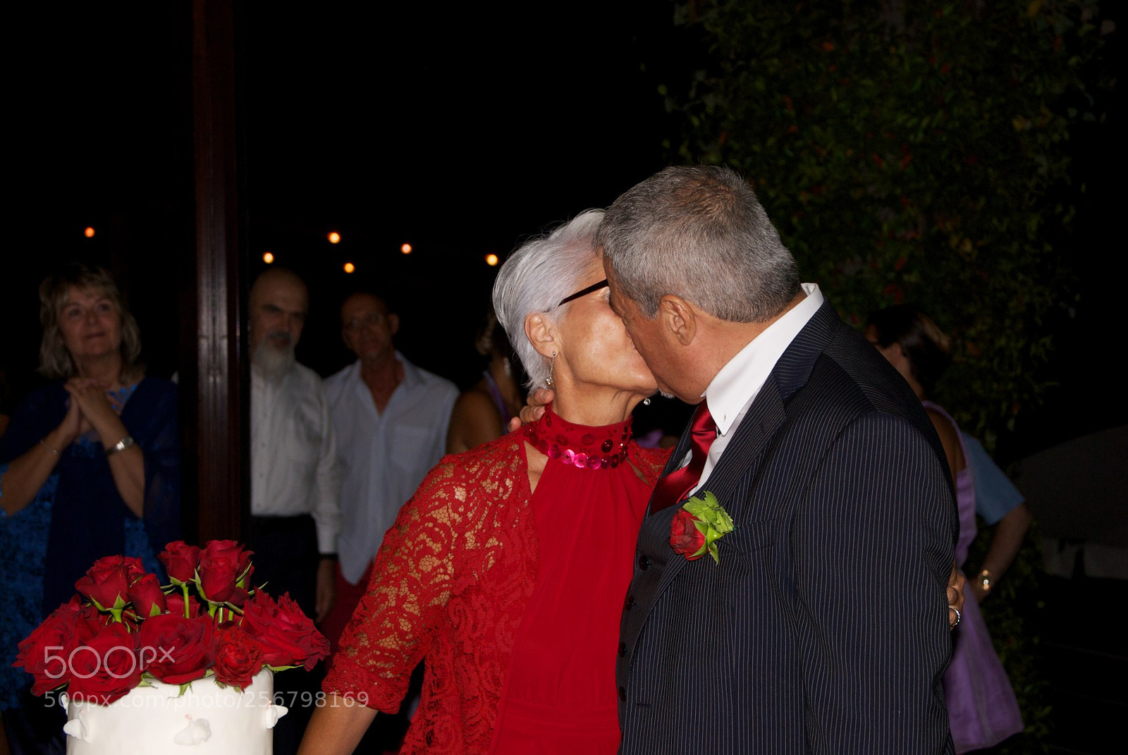 Nikon D60 sample photo. Version photography
