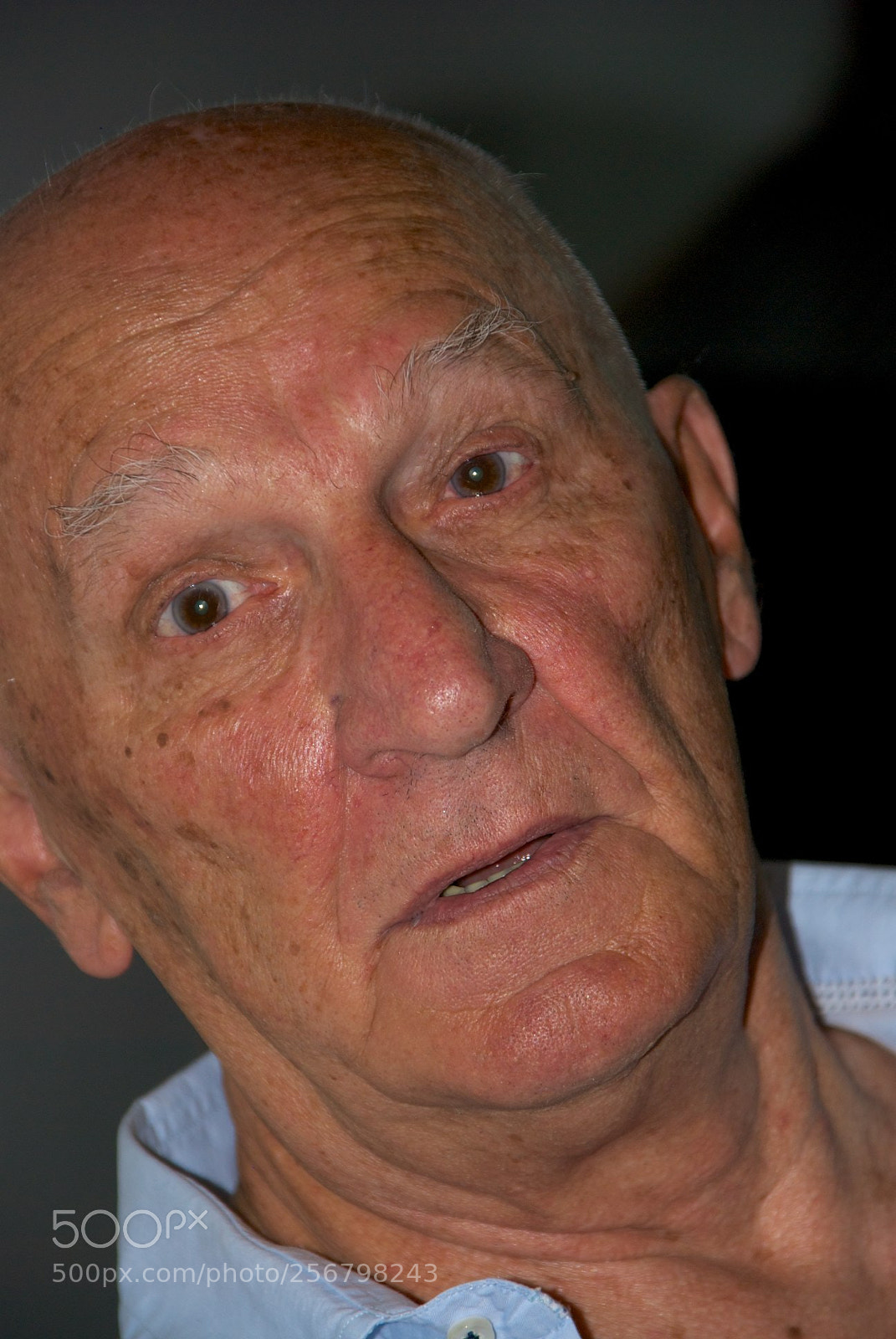 Nikon D60 sample photo. Version photography