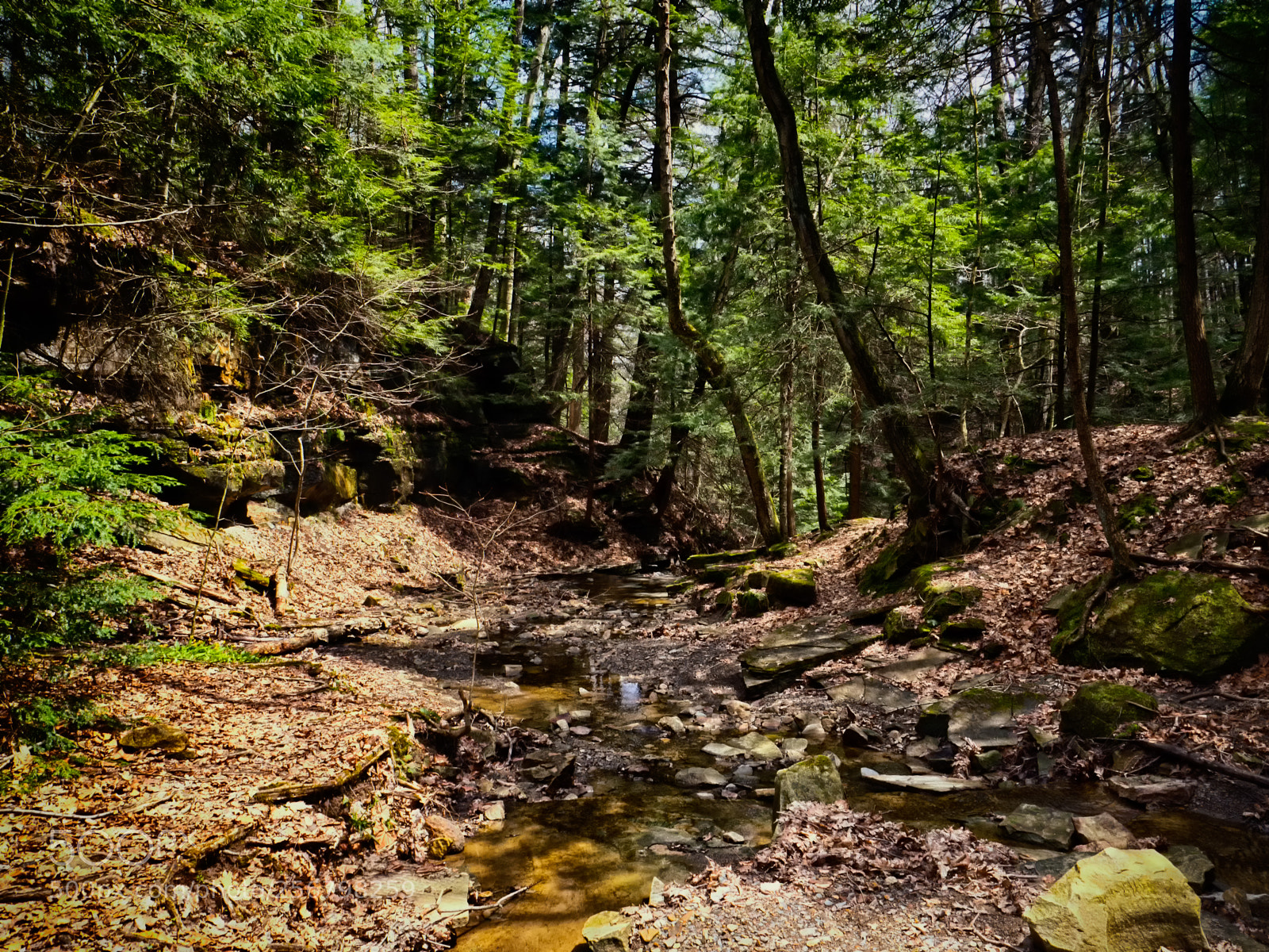 Olympus OM-D E-M1 sample photo. Top of the falls photography