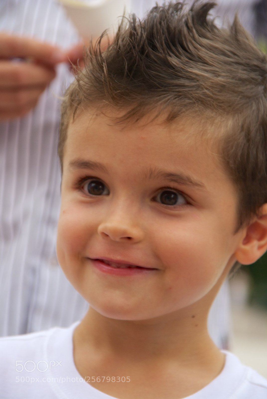 Nikon D60 sample photo. Version photography