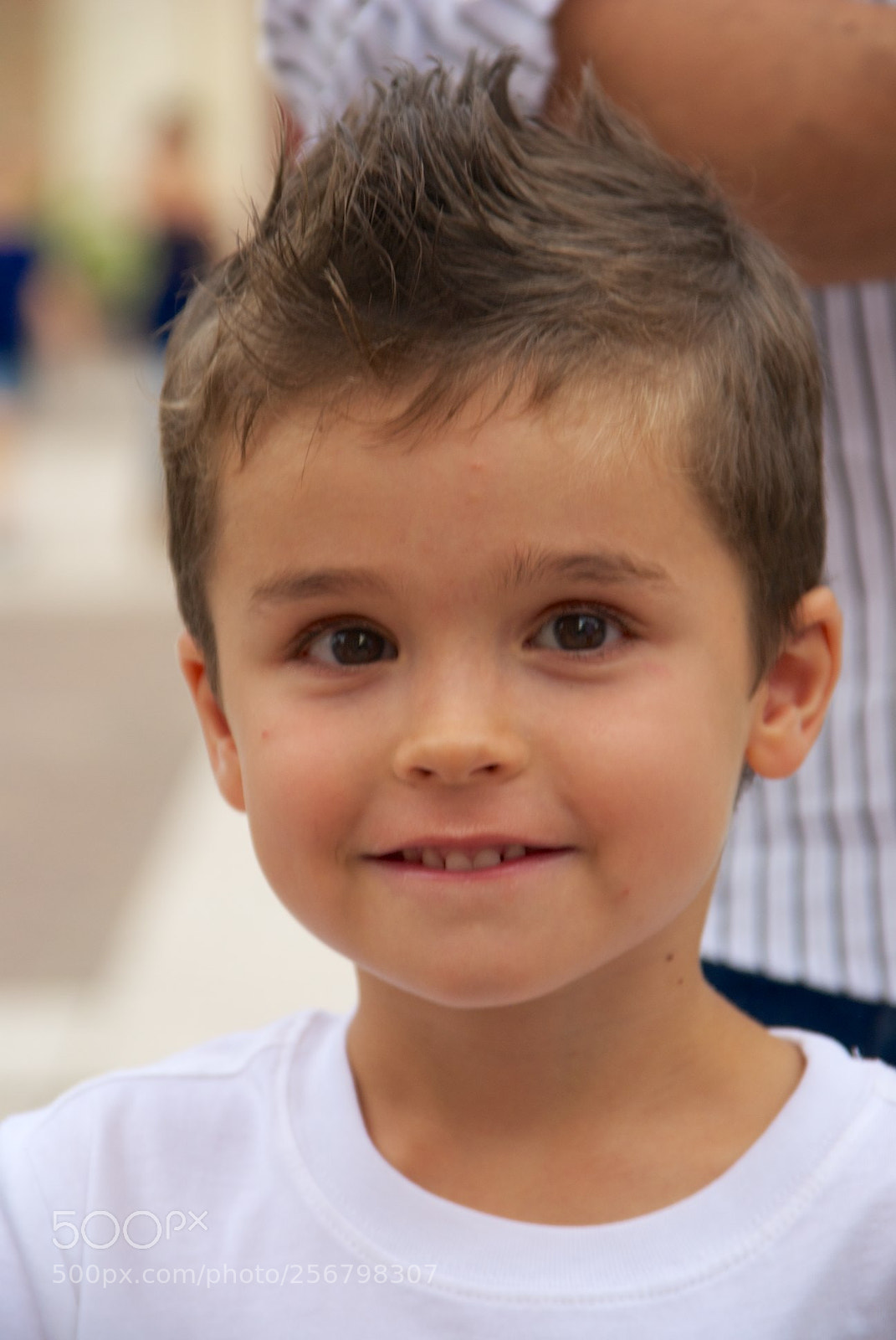 Nikon D60 sample photo. Version photography
