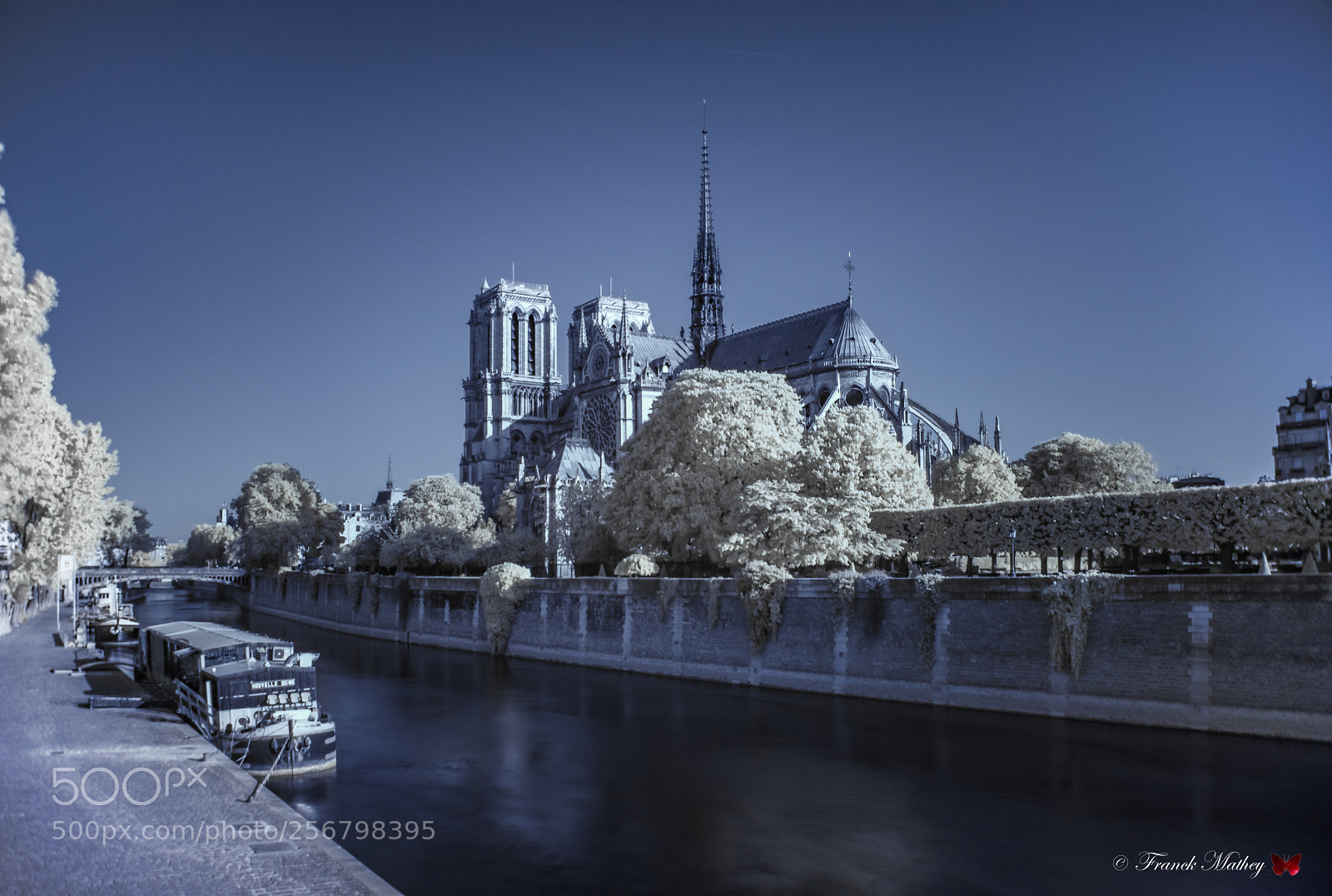 Nikon D850 sample photo. Cath drale notre-dame de photography