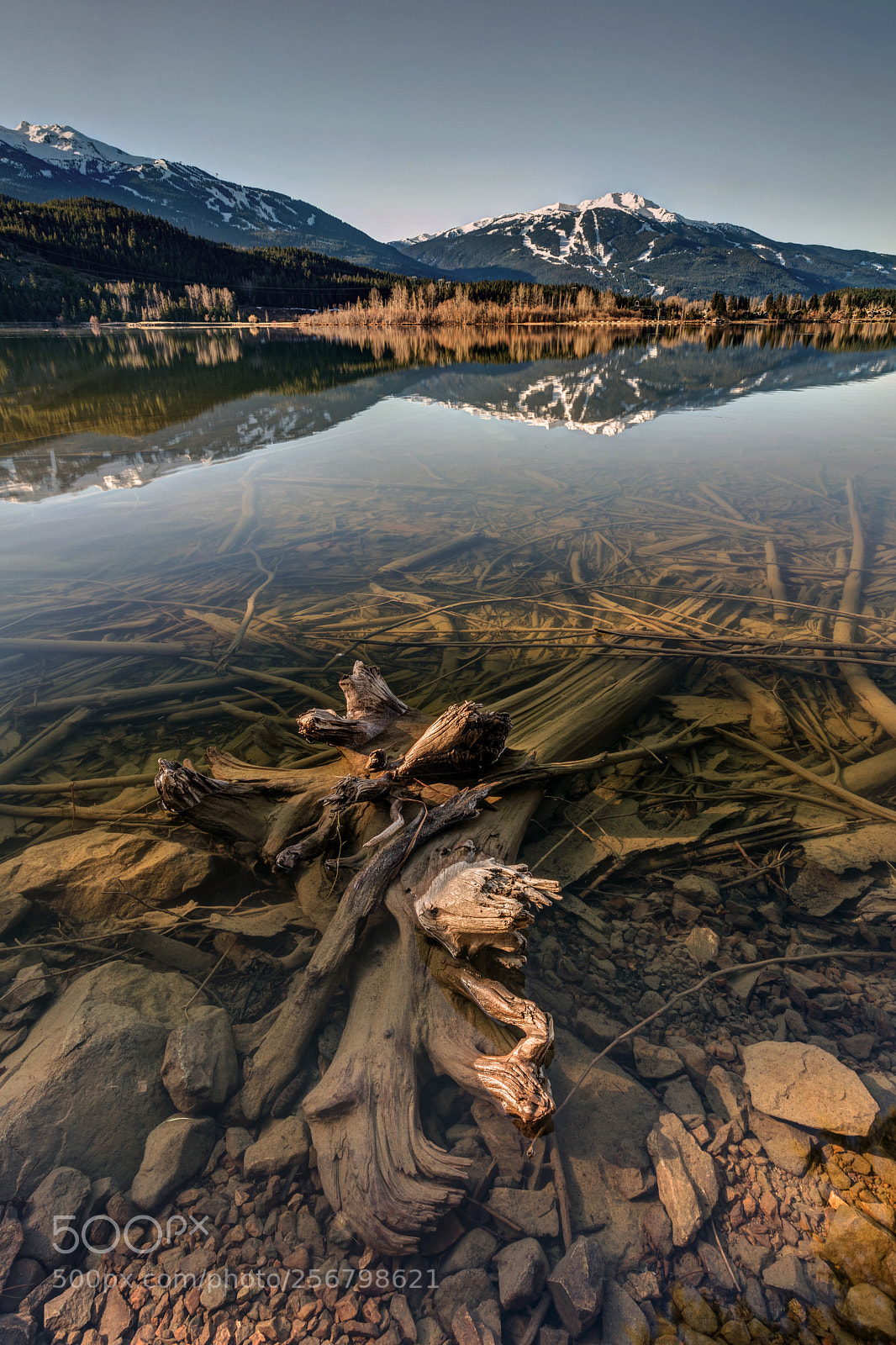 Canon EOS 5DS R sample photo. Green lake ironwood photography