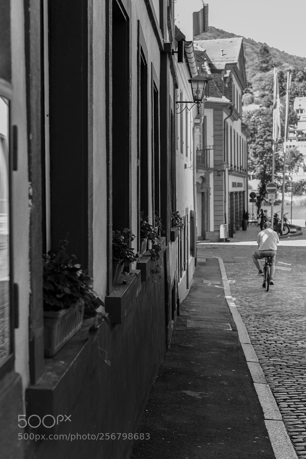 Nikon D850 sample photo. Untitled photography