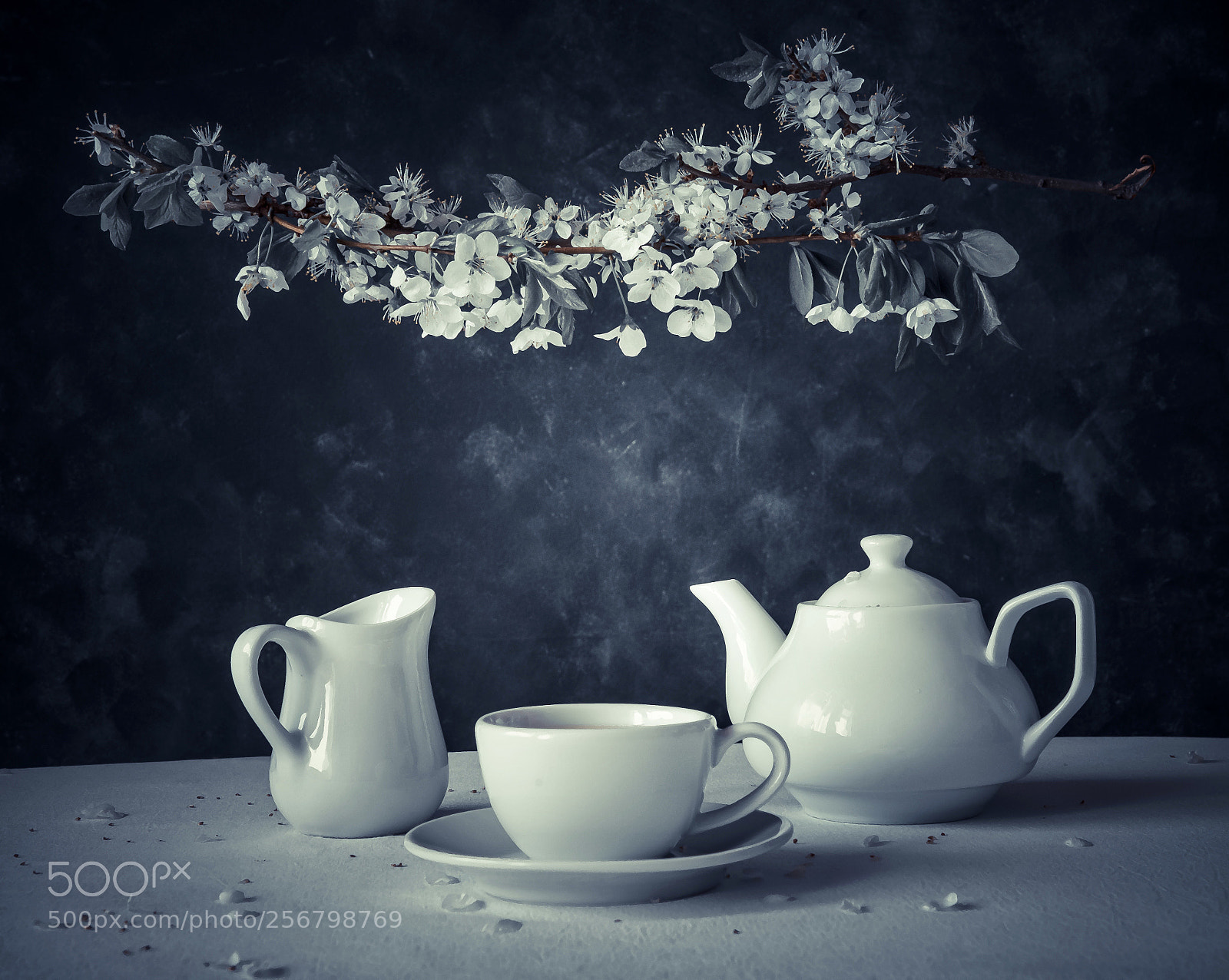Nikon D610 sample photo. Untitled photography