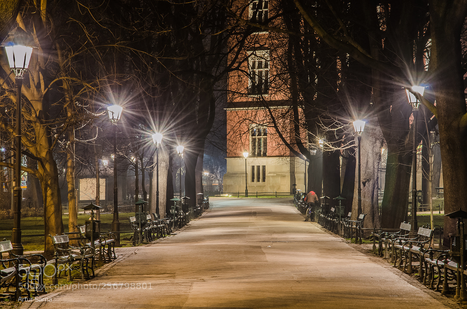 Nikon D5100 sample photo. Krakowskie  planty nocą . photography