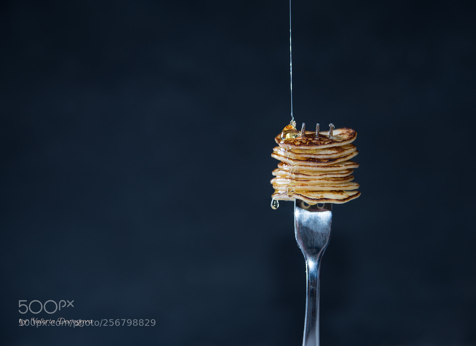 Nikon D610 sample photo. Untitled photography