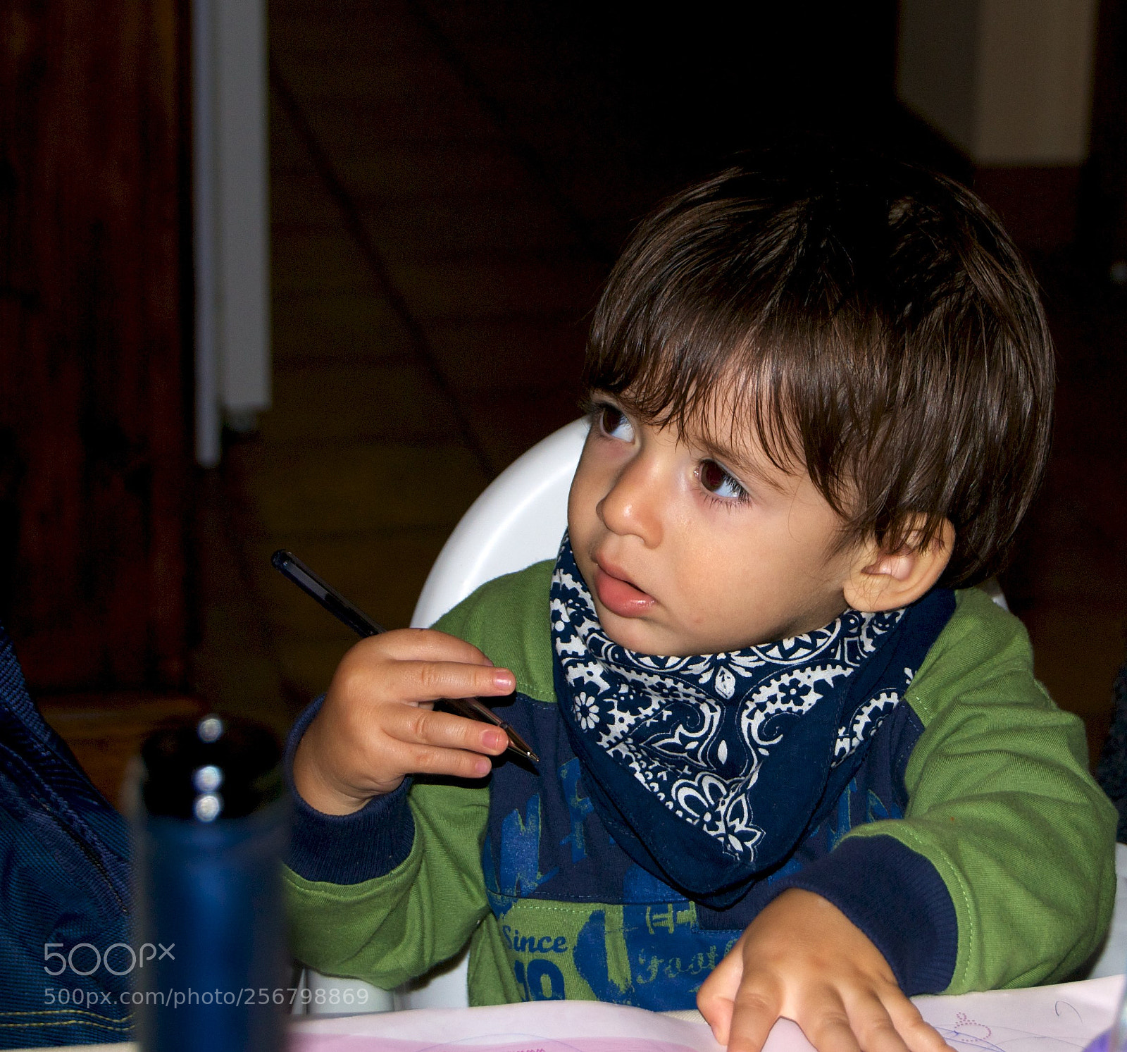 Nikon D60 sample photo. Version photography