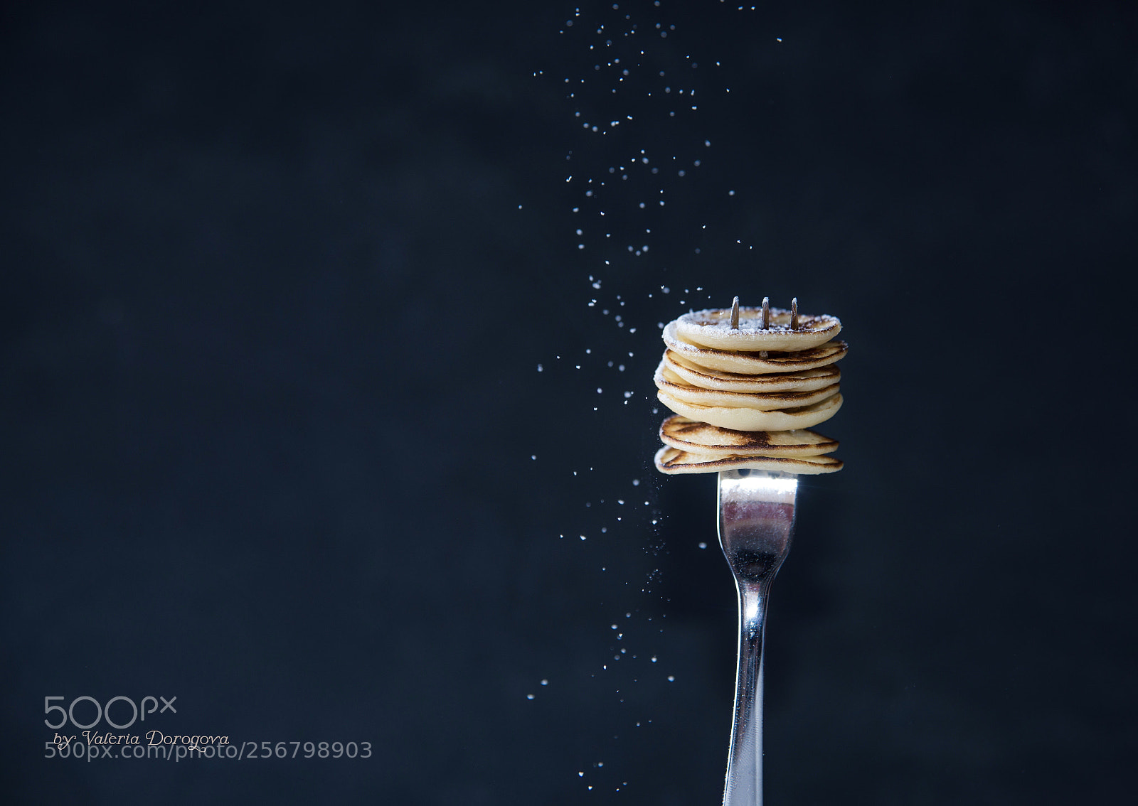 Nikon D610 sample photo. Untitled photography