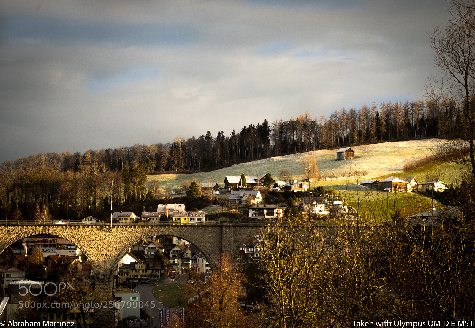 Olympus OM-D E-M5 II sample photo. Morning fresh photography