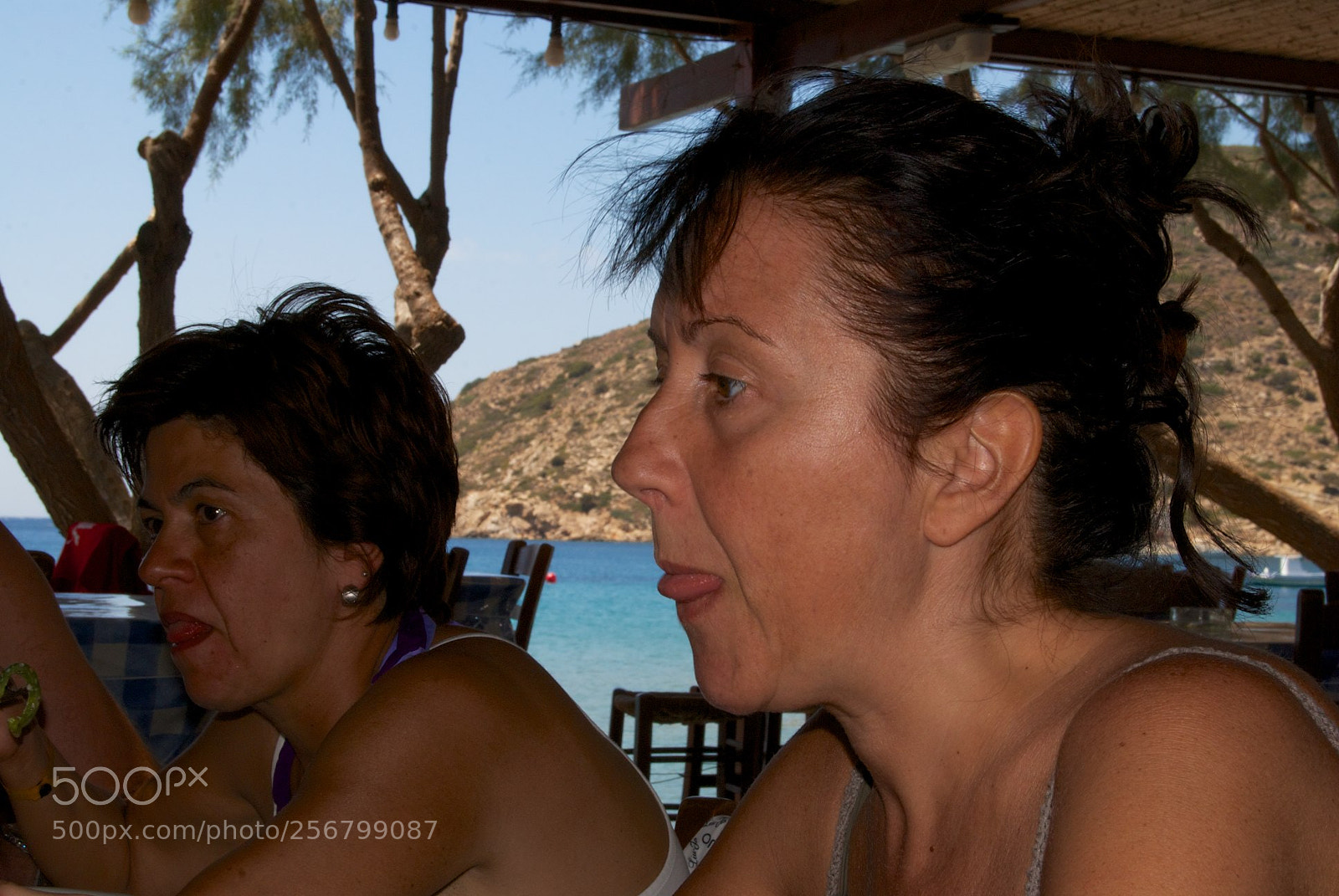 Nikon D60 sample photo. Version photography