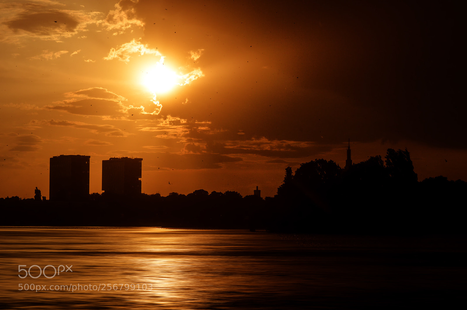 Nikon D3200 sample photo. The sunset after storm photography