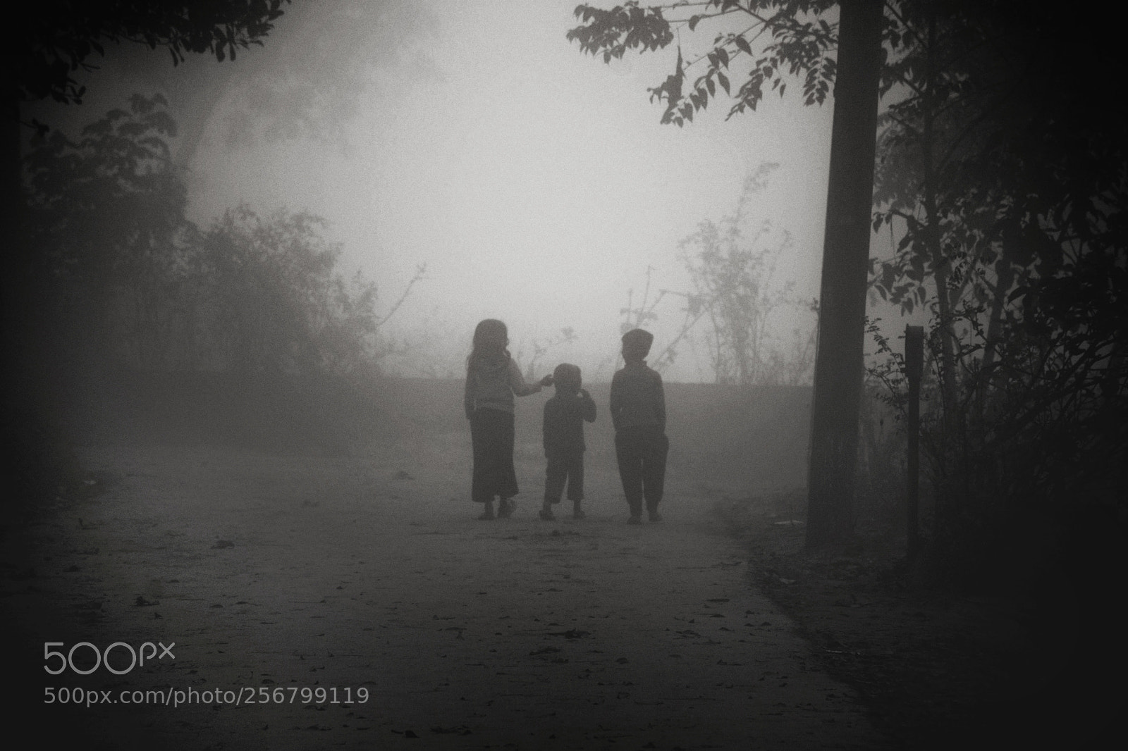 Nikon D7100 sample photo. একটি শৈশব, তিনটি প্রাণ, বন্ধন. photography