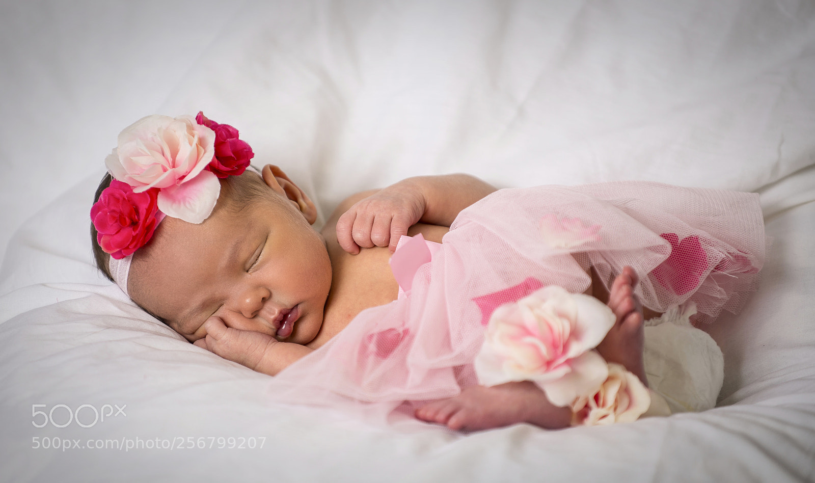 Nikon D800 sample photo. Nadia photography