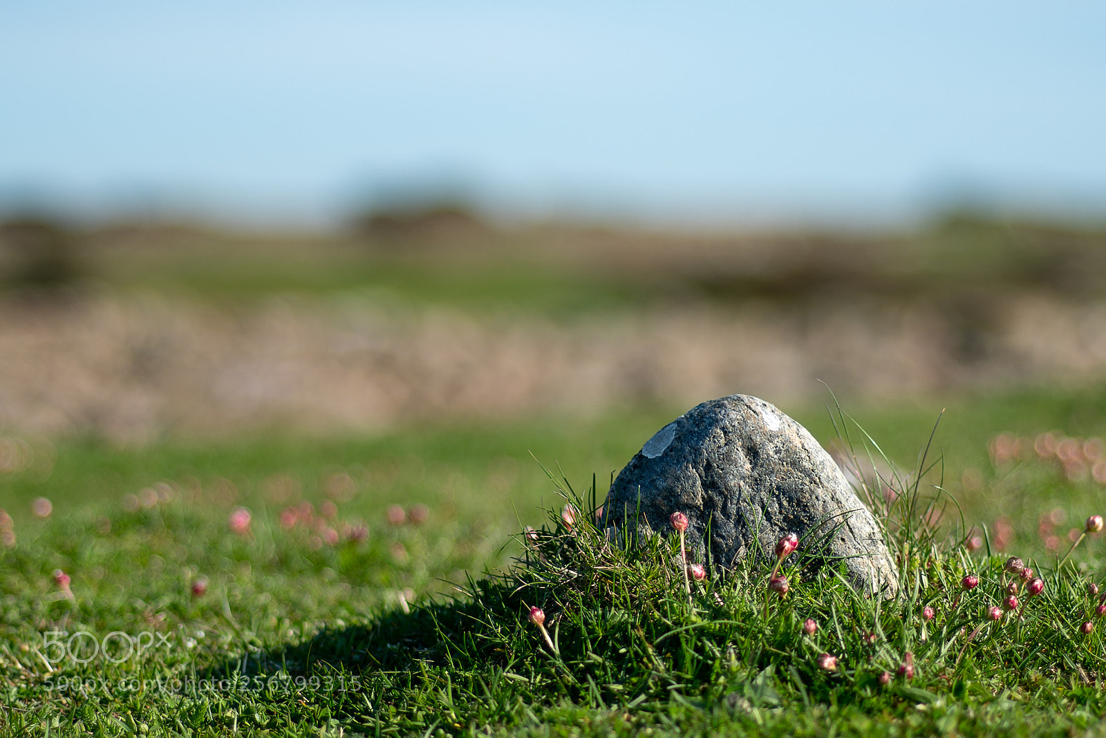 Sony a7R II sample photo. An odd stone photography