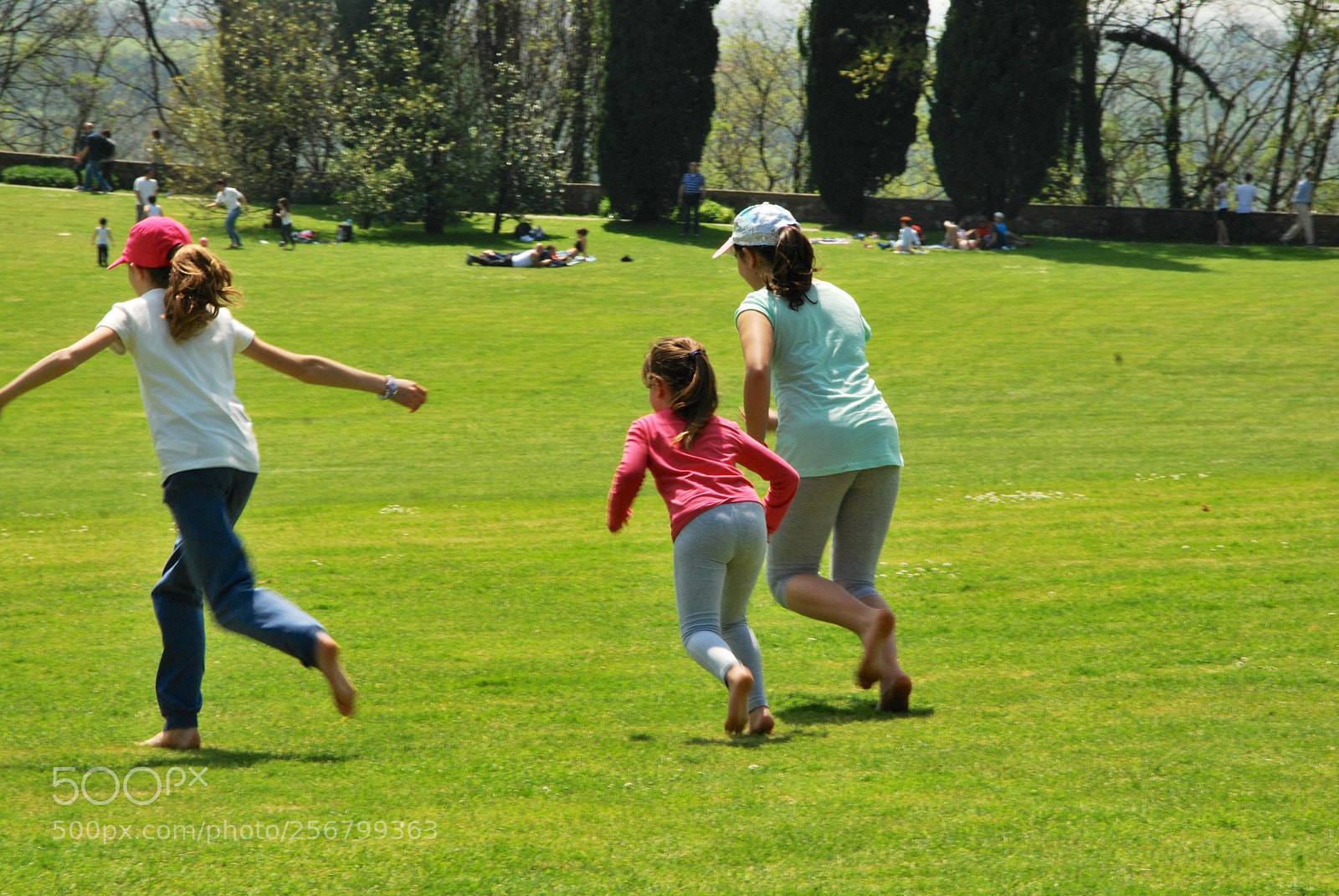 Nikon D60 sample photo. Version photography
