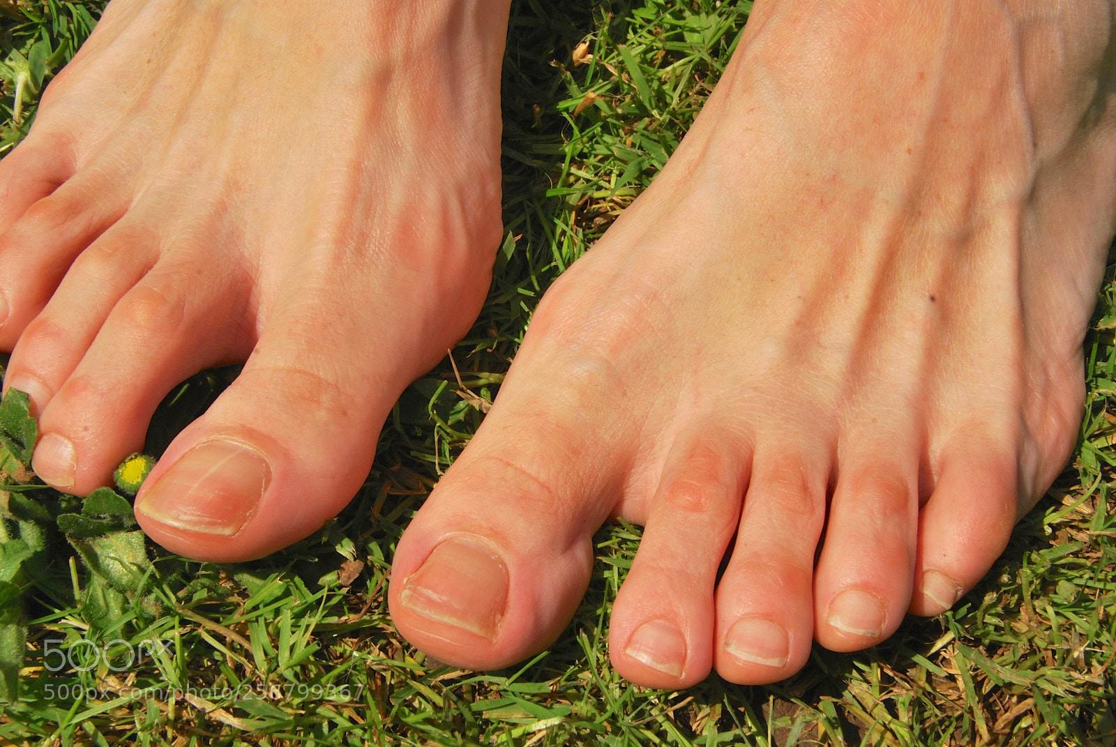Nikon D60 sample photo. Version photography