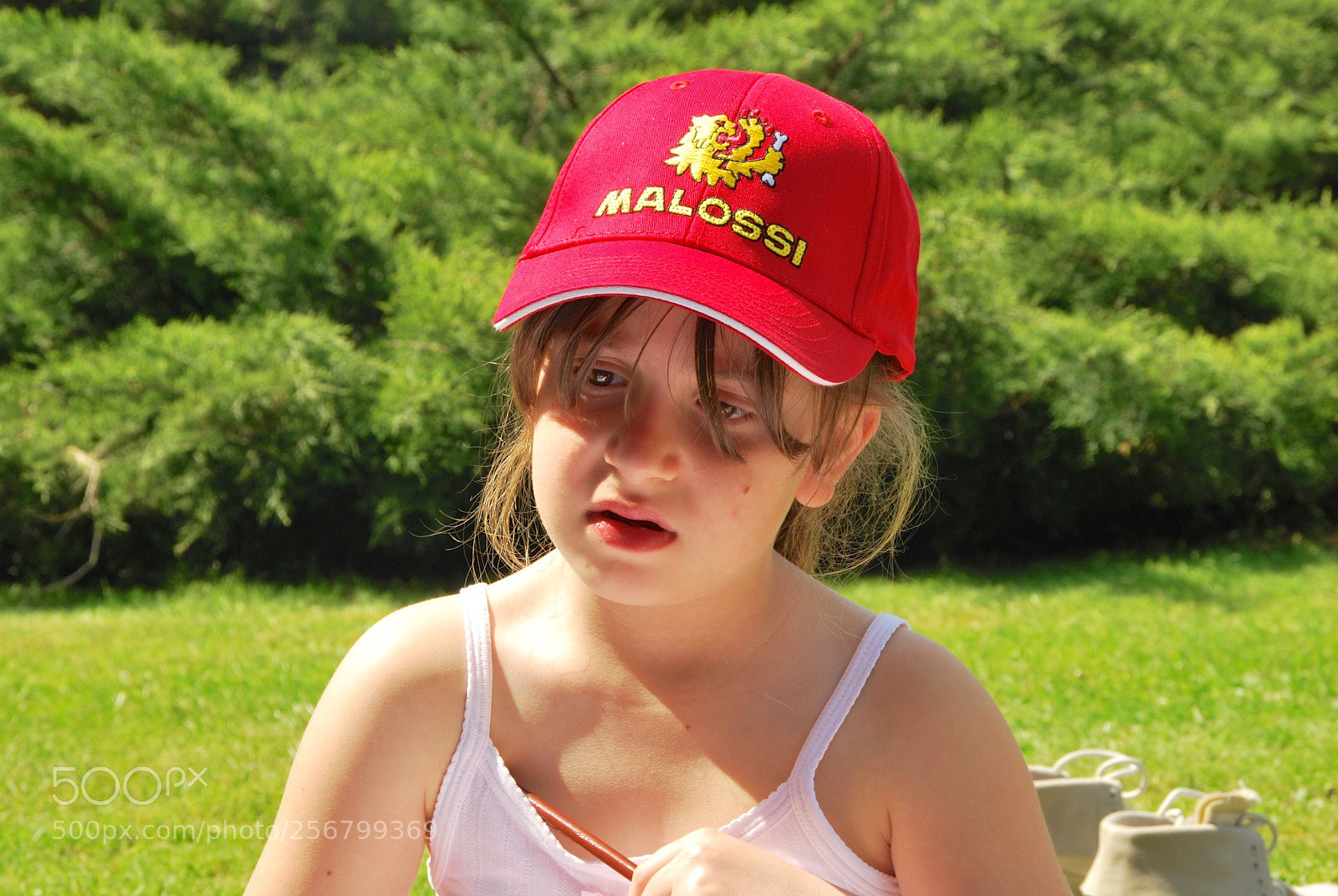 Nikon D60 sample photo. Version photography