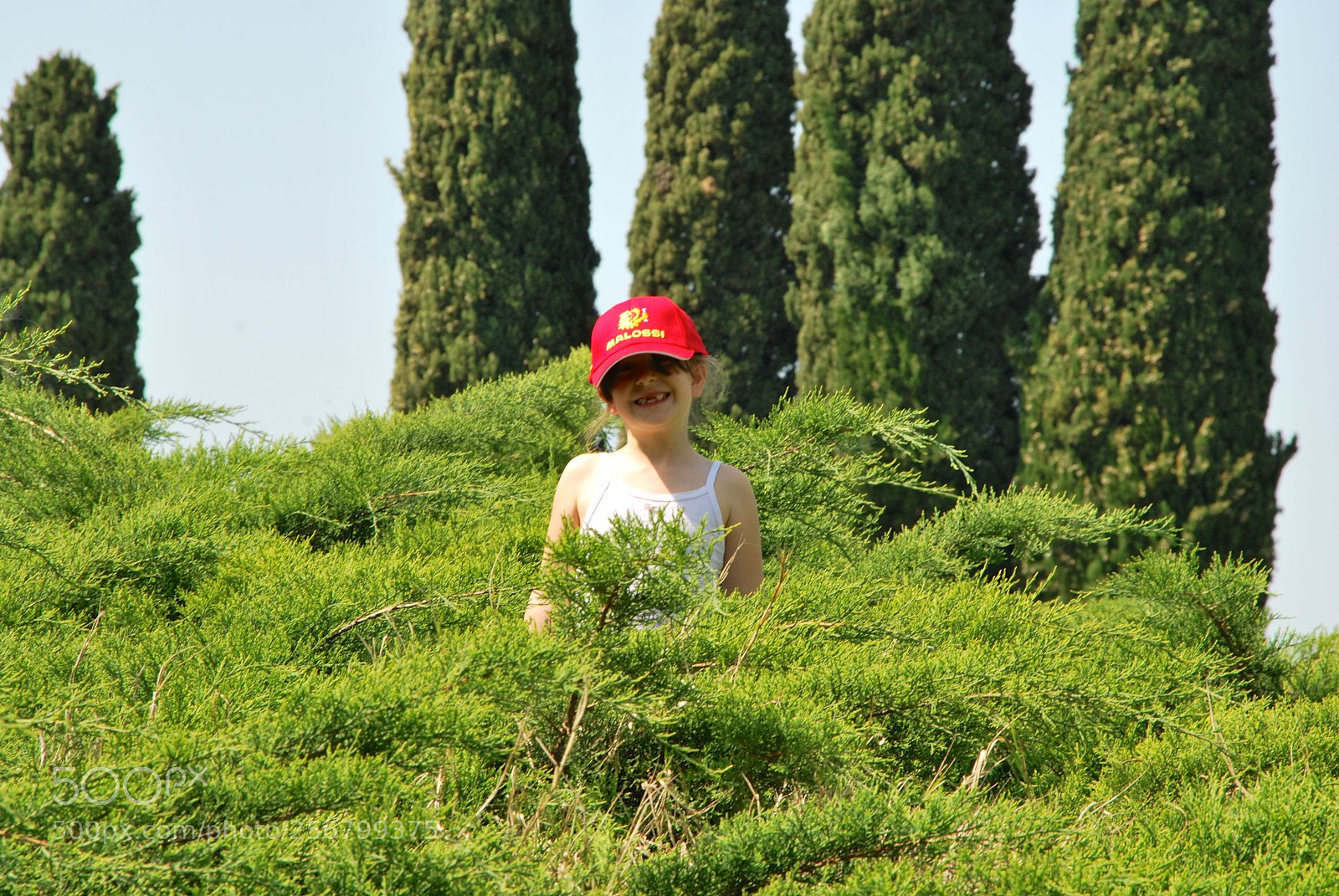 Nikon D60 sample photo. Version photography
