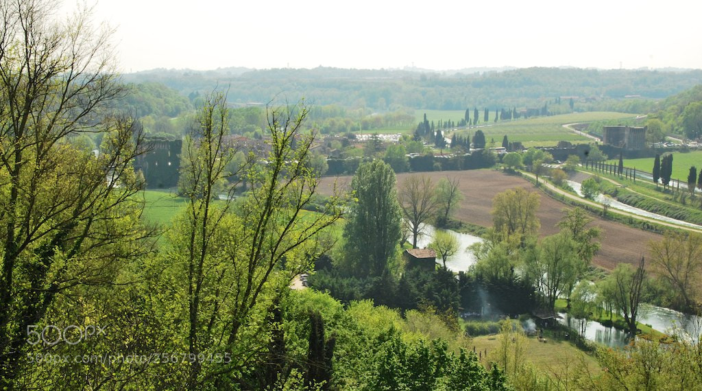 Nikon D60 sample photo. Version photography