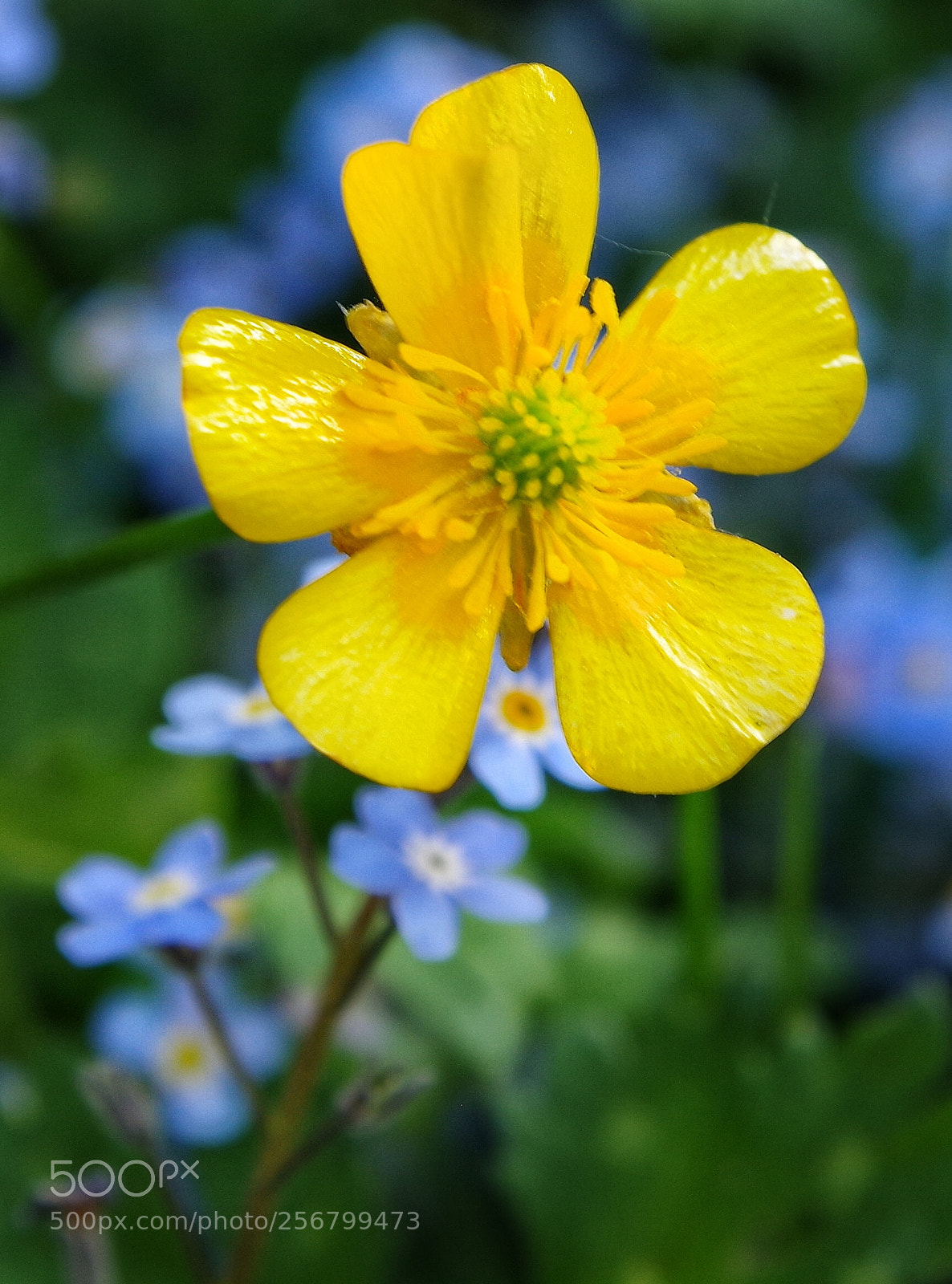 Pentax K-70 sample photo. Untitled photography
