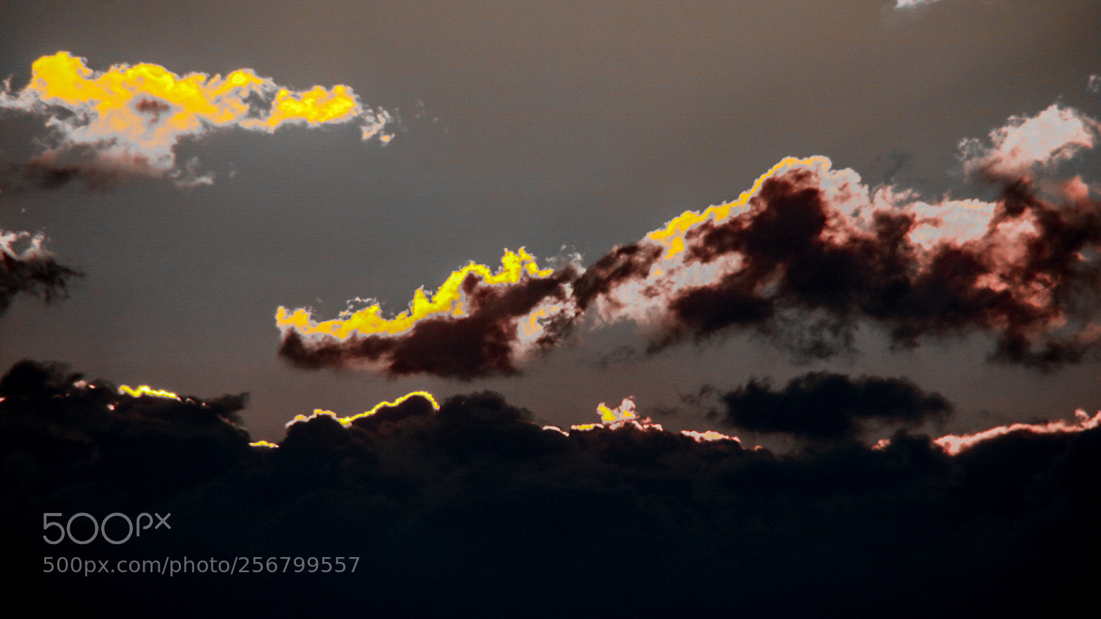 Canon EOS 760D (EOS Rebel T6s / EOS 8000D) sample photo. Golden clouds photography