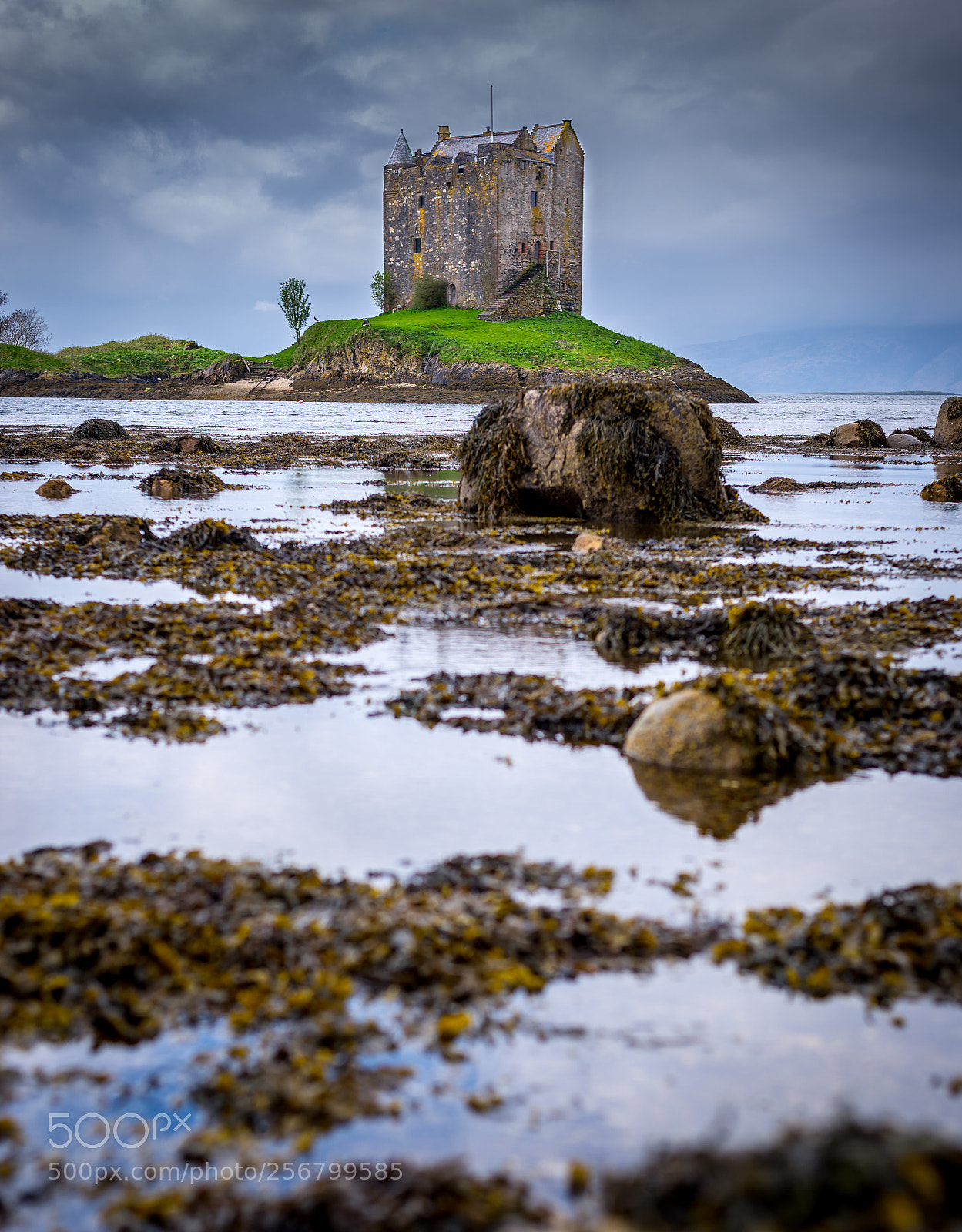 Nikon D610 sample photo. Castle stalker photography